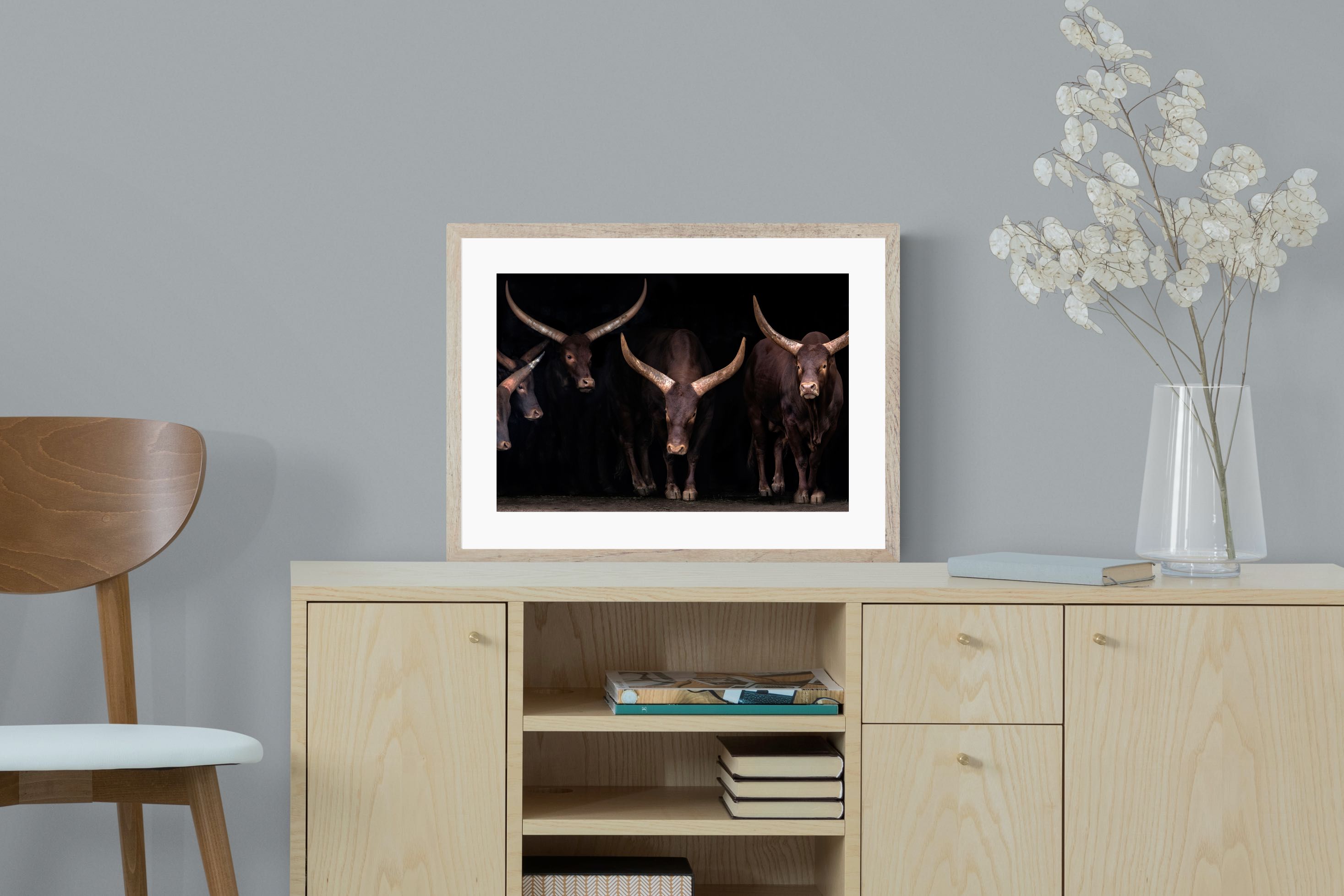 Pixalot Ankole-Watusi Herd