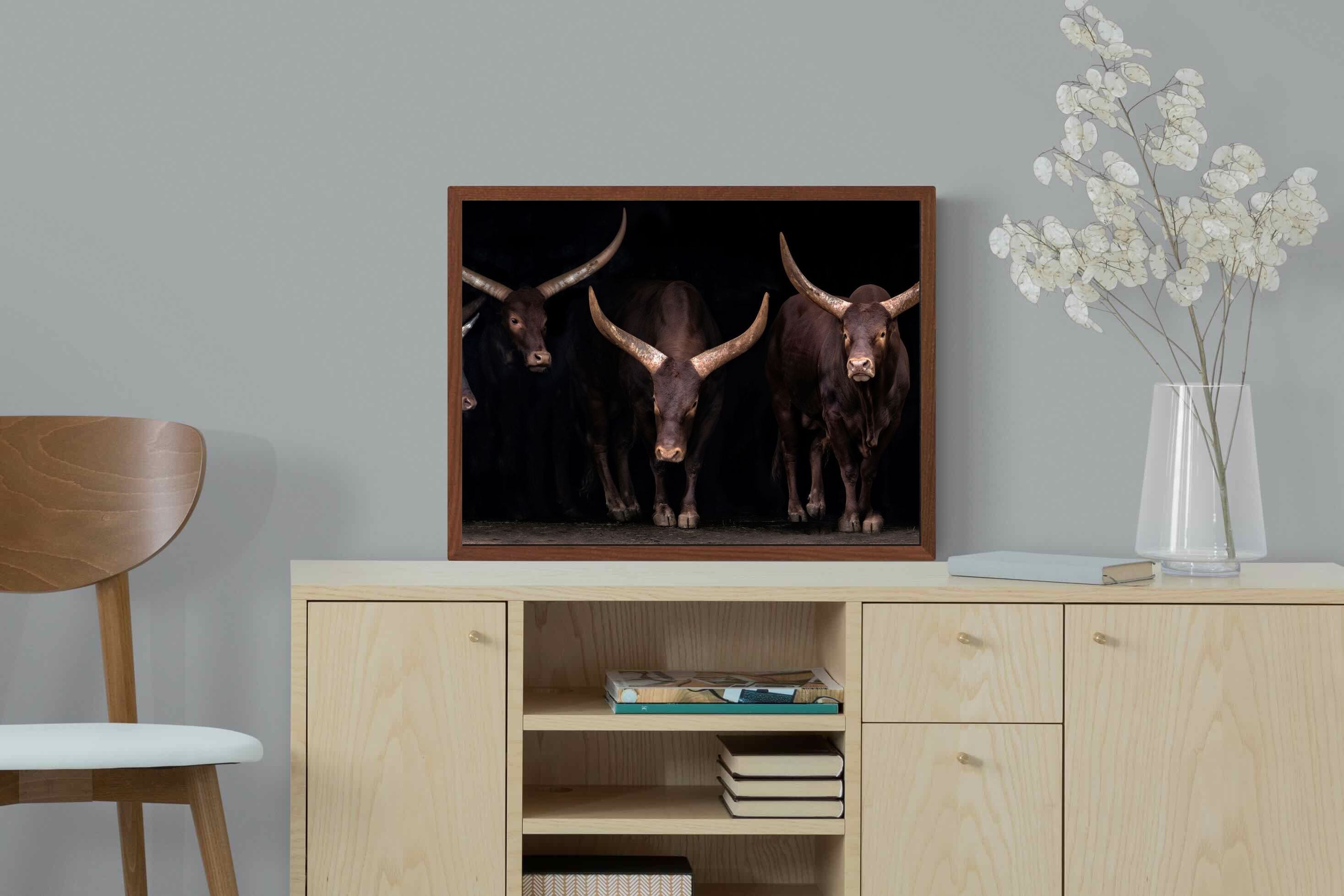 Pixalot ® Ankole-Watusi Herd