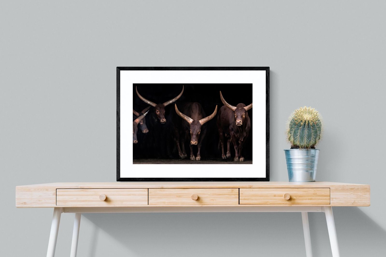 Pixalot Ankole-Watusi Herd