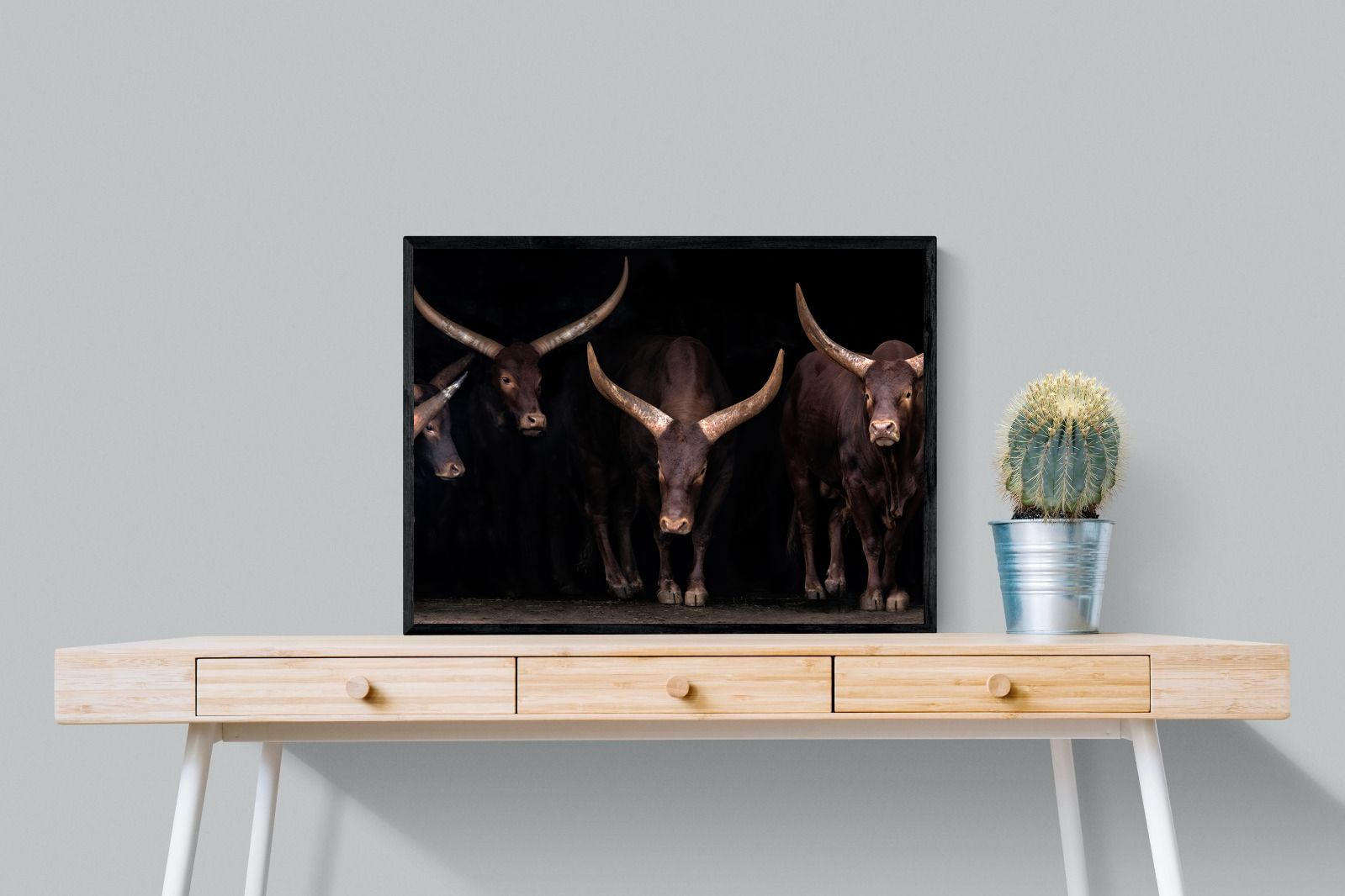 Pixalot Ankole-Watusi Herd