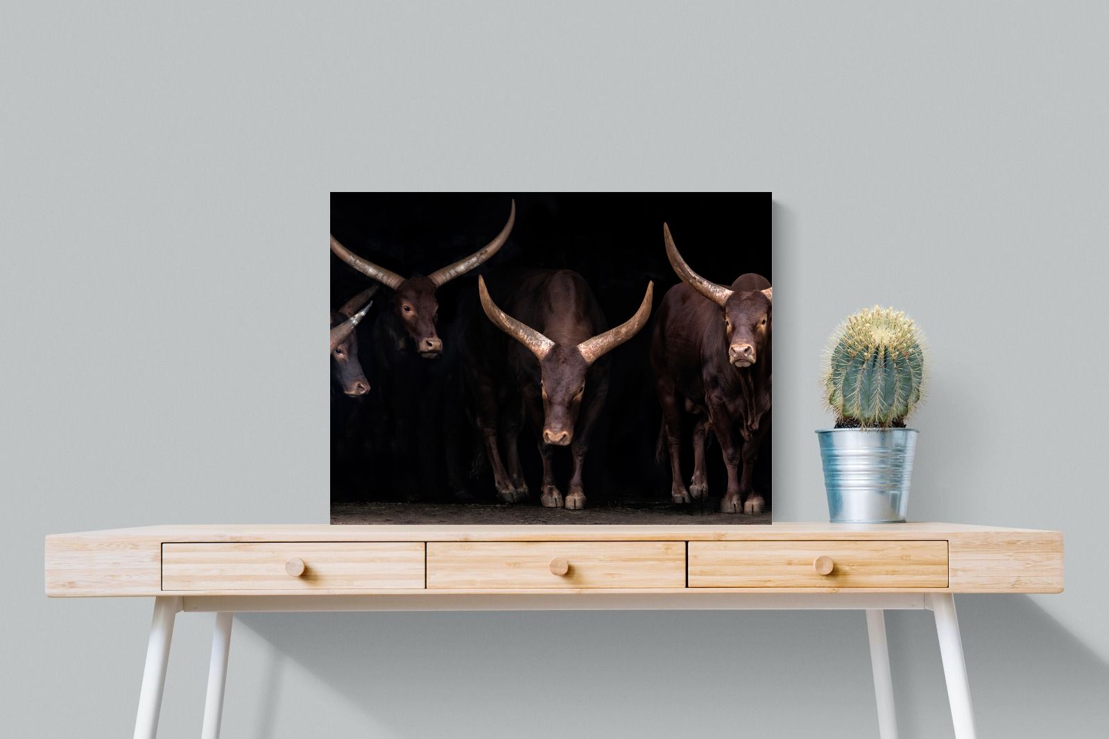 Pixalot Ankole-Watusi Herd