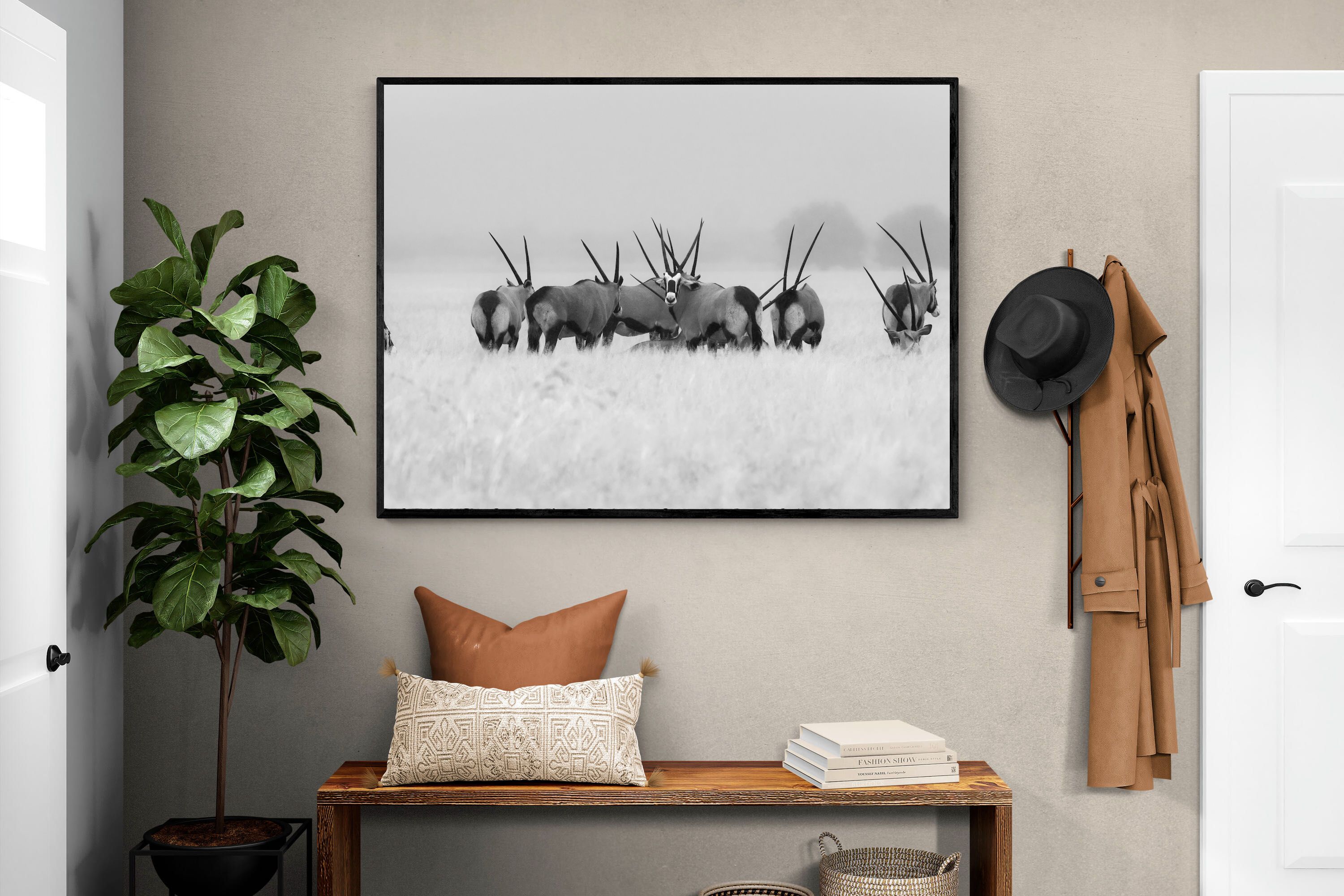 Pixalot Antelope Herd