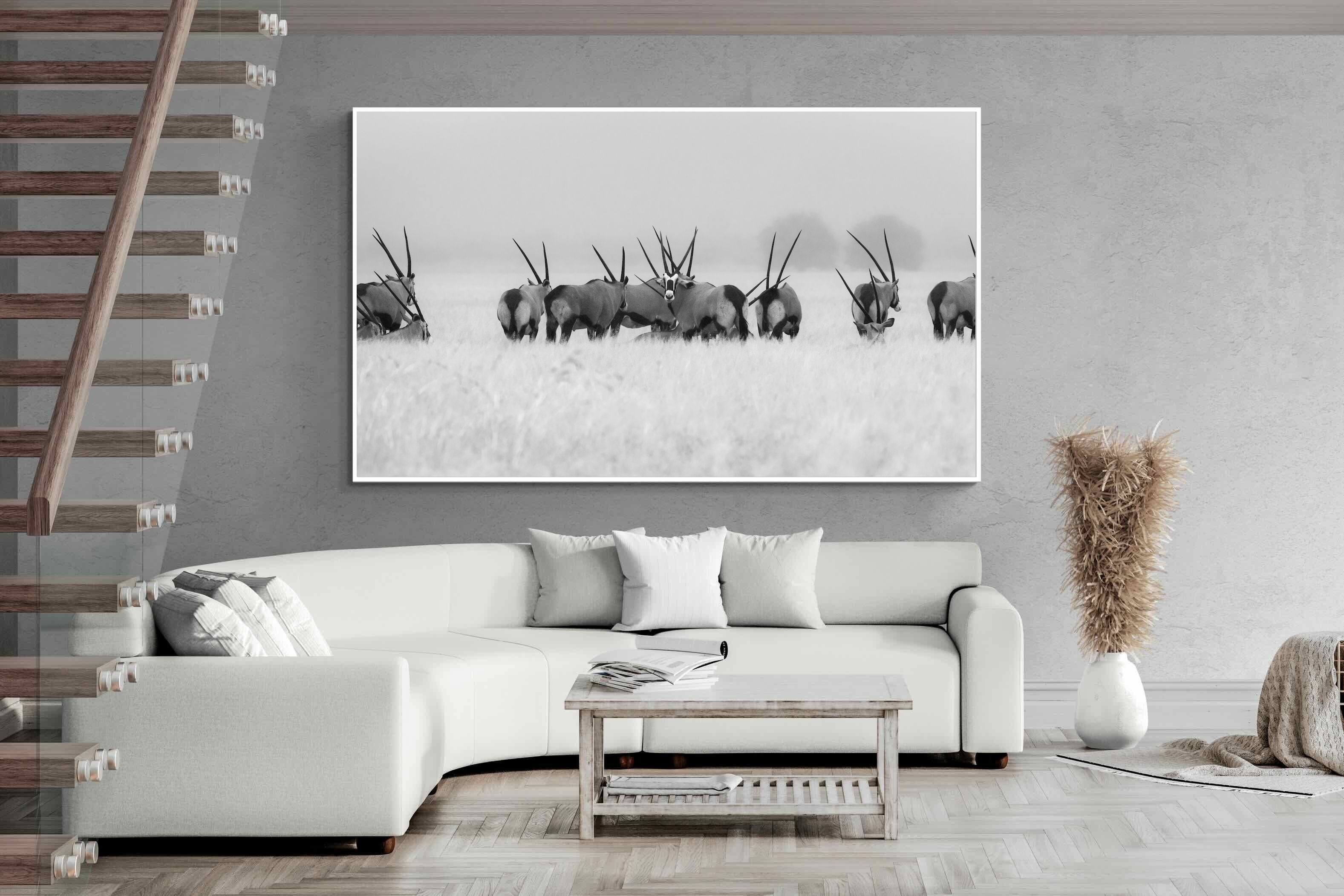 Pixalot Antelope Herd
