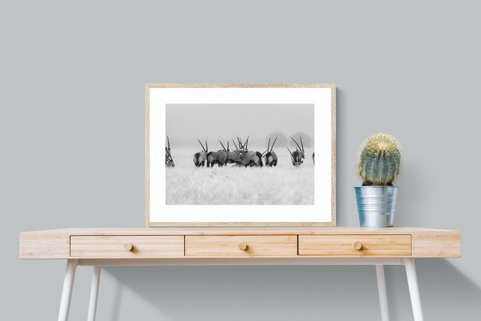 Pixalot Antelope Herd
