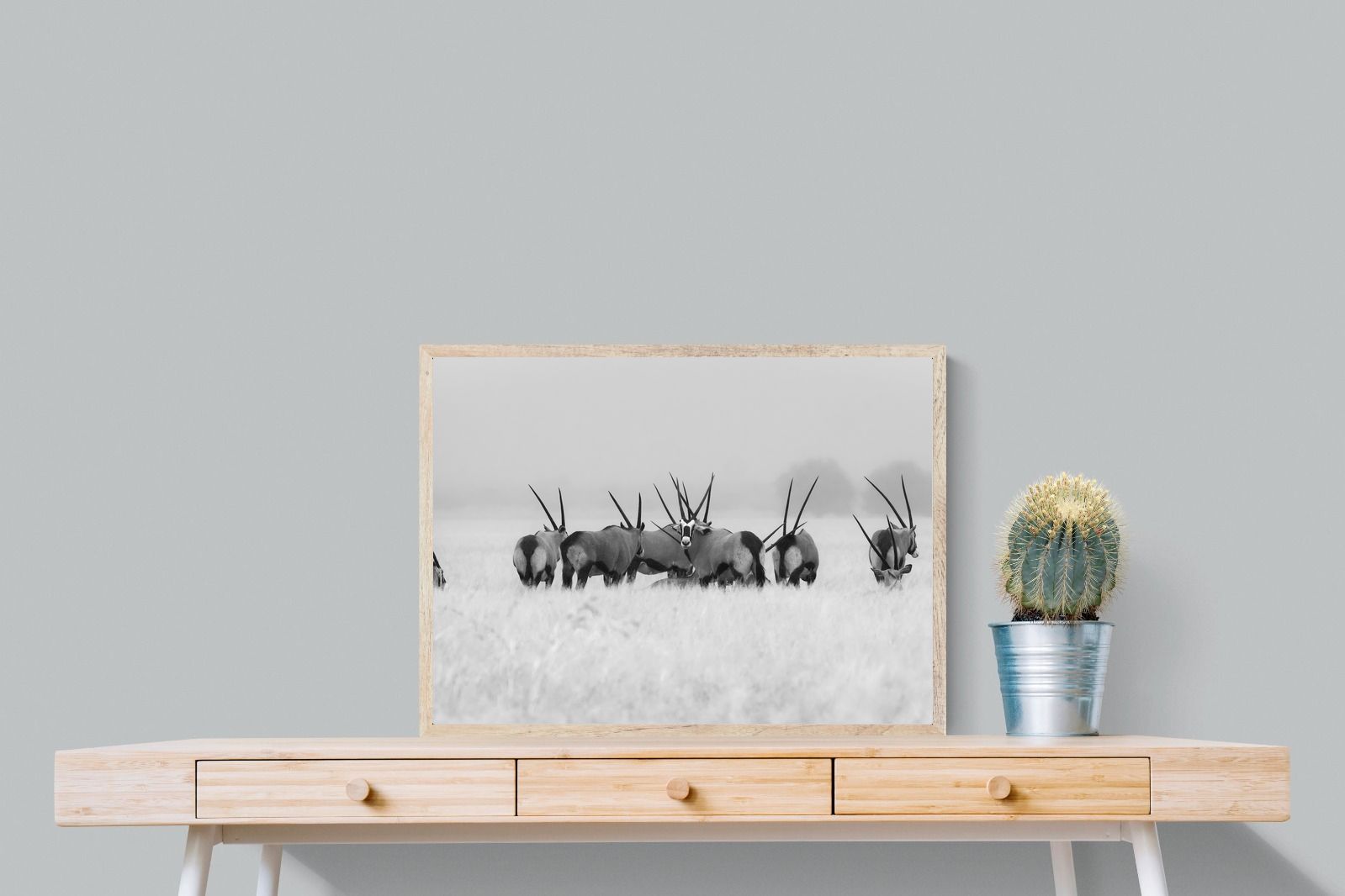 Pixalot Antelope Herd