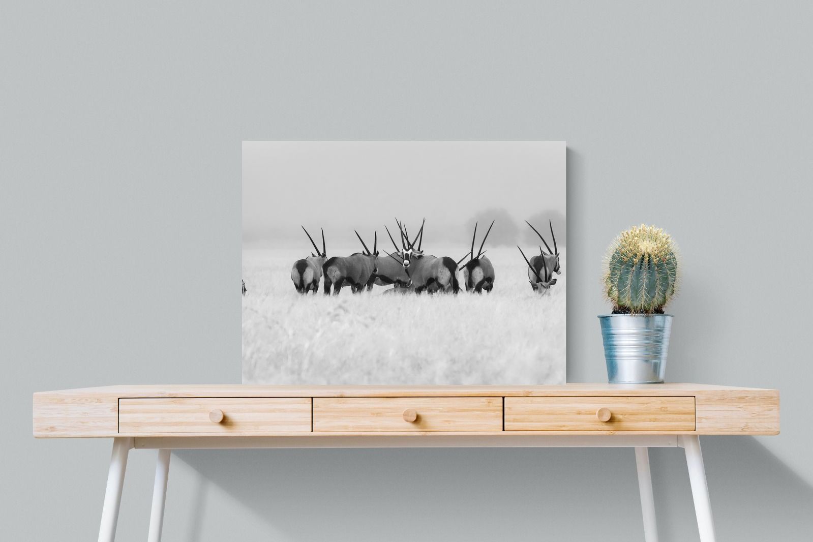 Pixalot Antelope Herd