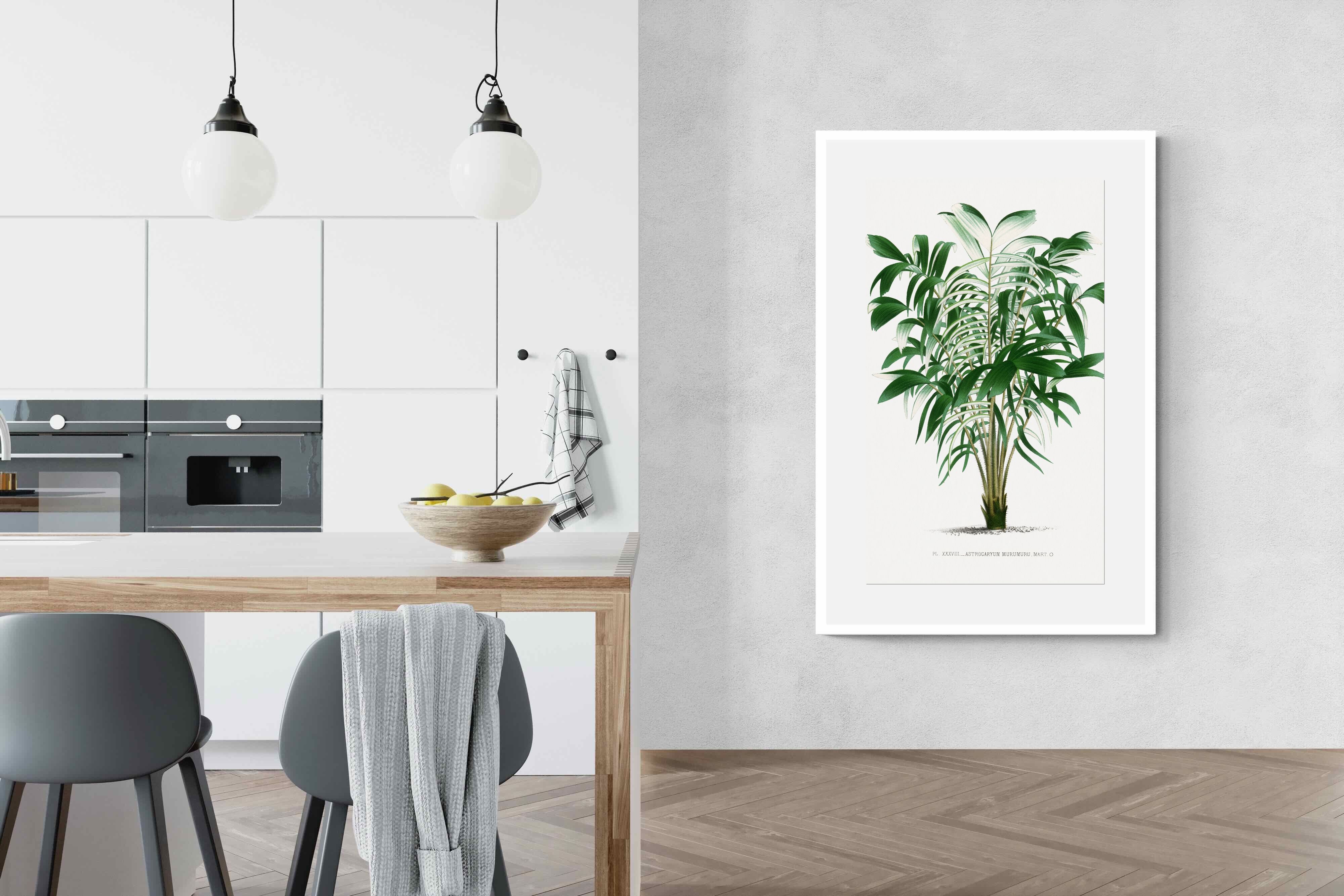 Pixalot Astrocaryum Murumuru Palm Tree Illustration