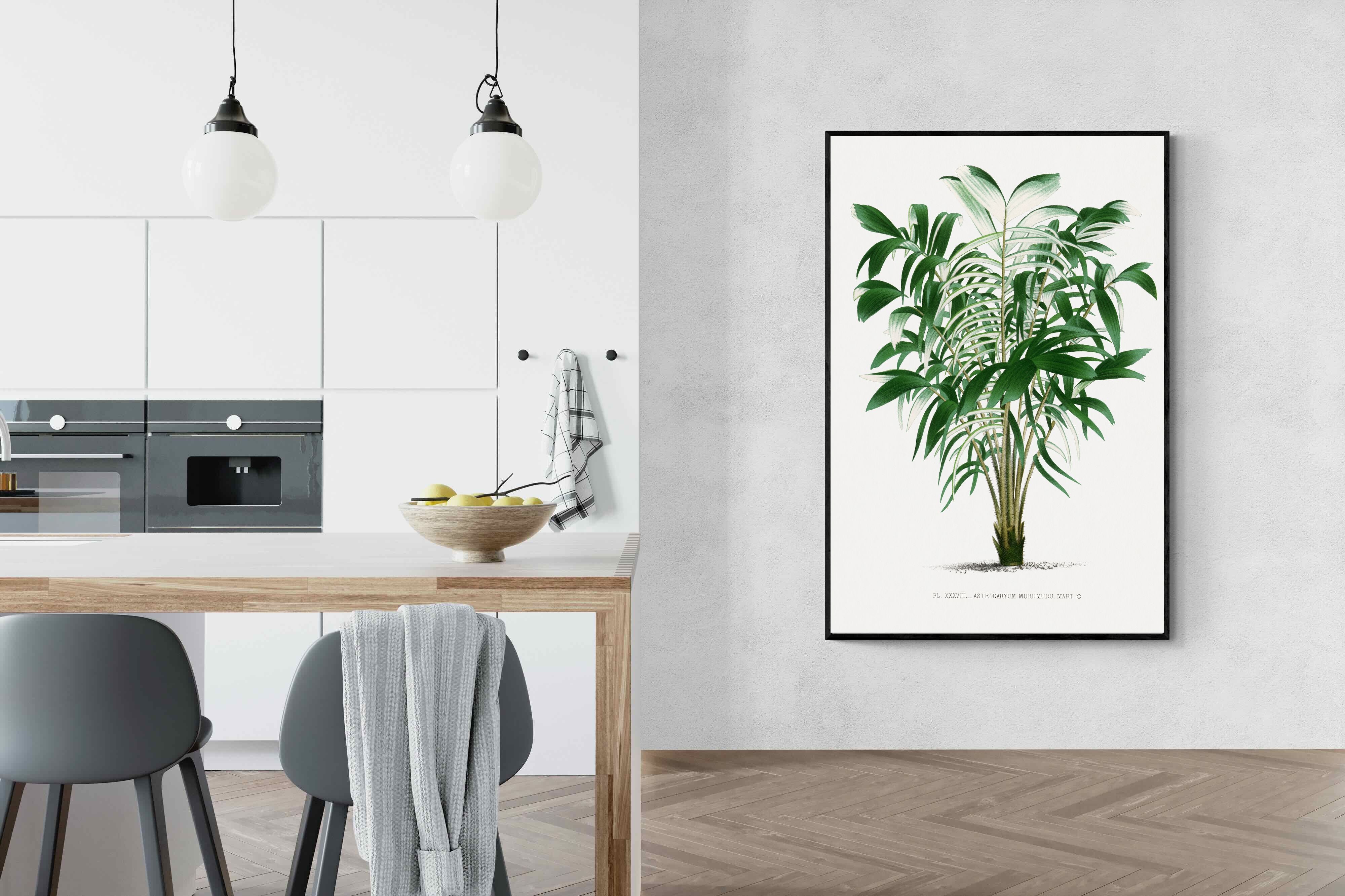 Pixalot Astrocaryum Murumuru Palm Tree Illustration