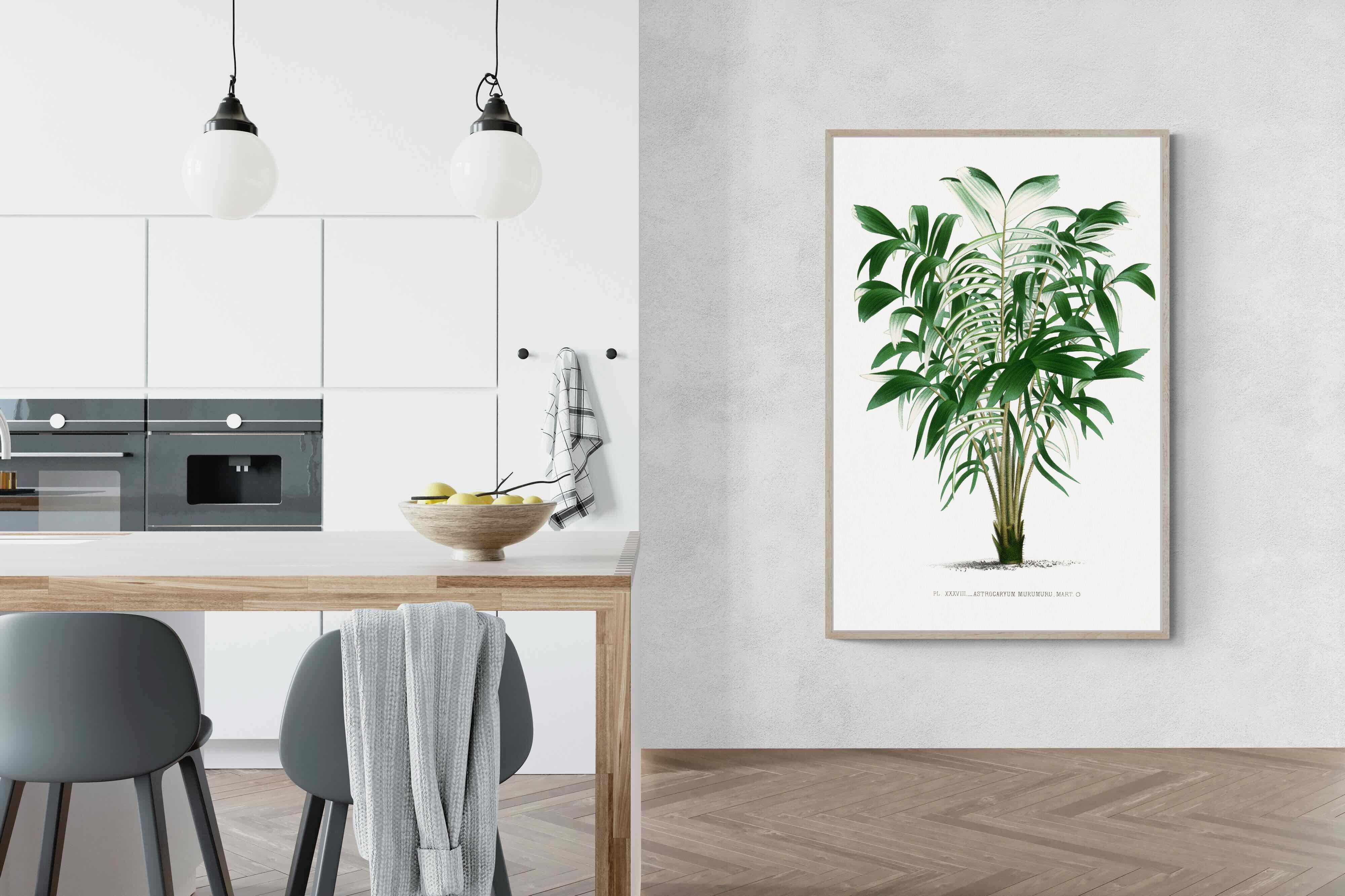 Pixalot Astrocaryum Murumuru Palm Tree Illustration