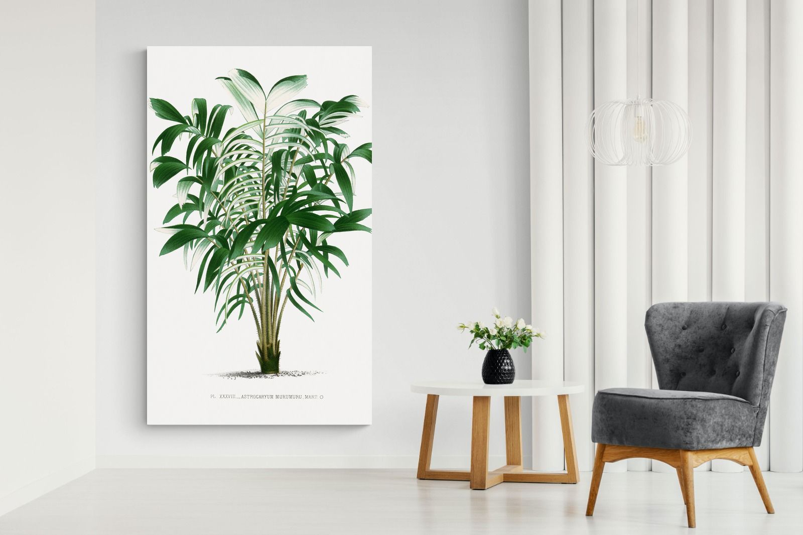 Pixalot Astrocaryum Murumuru Palm Tree Illustration