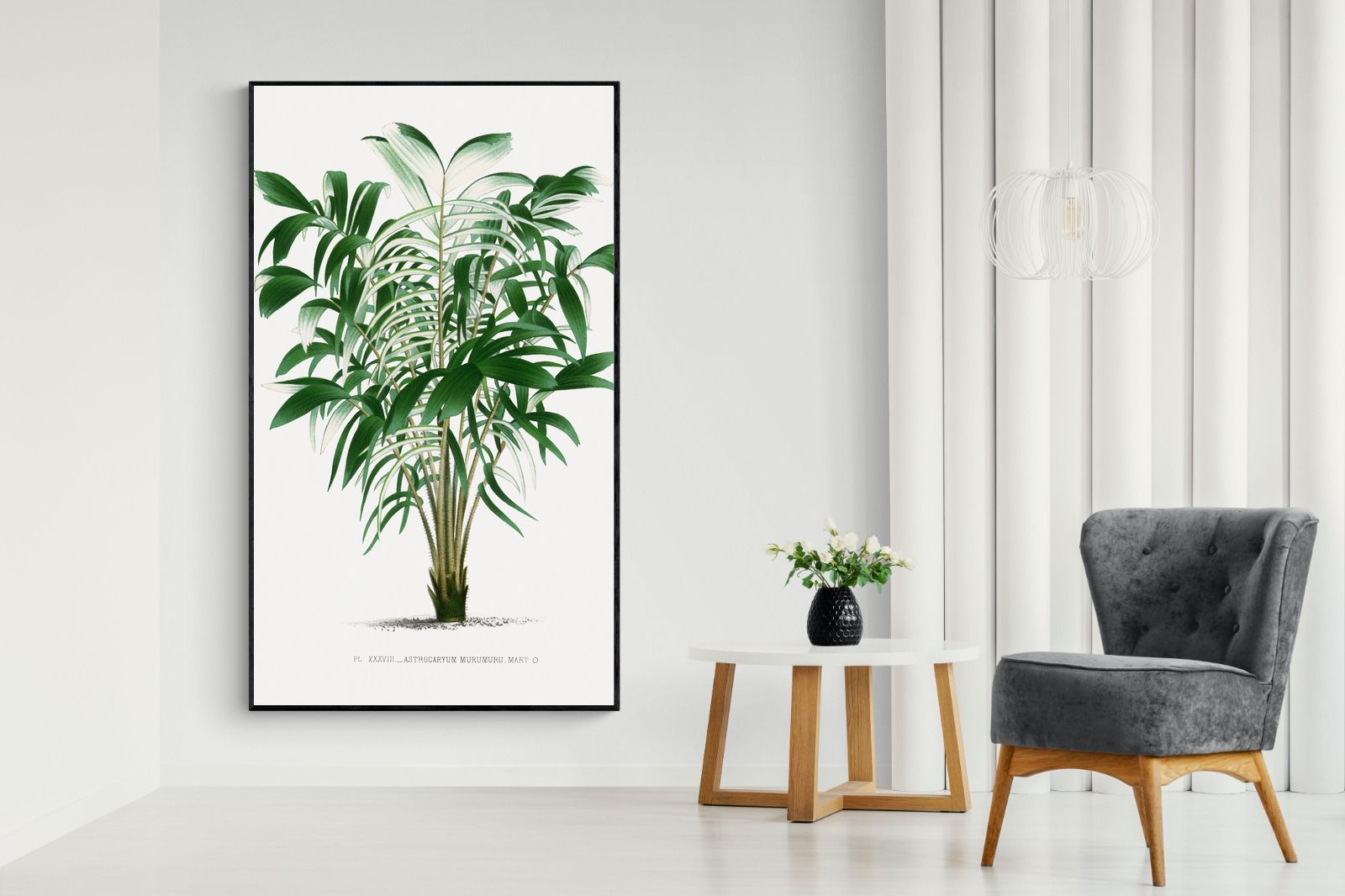 Pixalot Astrocaryum Murumuru Palm Tree Illustration