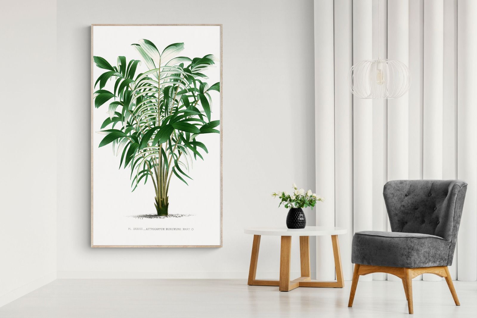 Pixalot Astrocaryum Murumuru Palm Tree Illustration