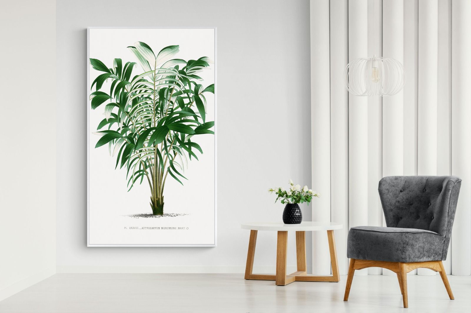 Pixalot Astrocaryum Murumuru Palm Tree Illustration