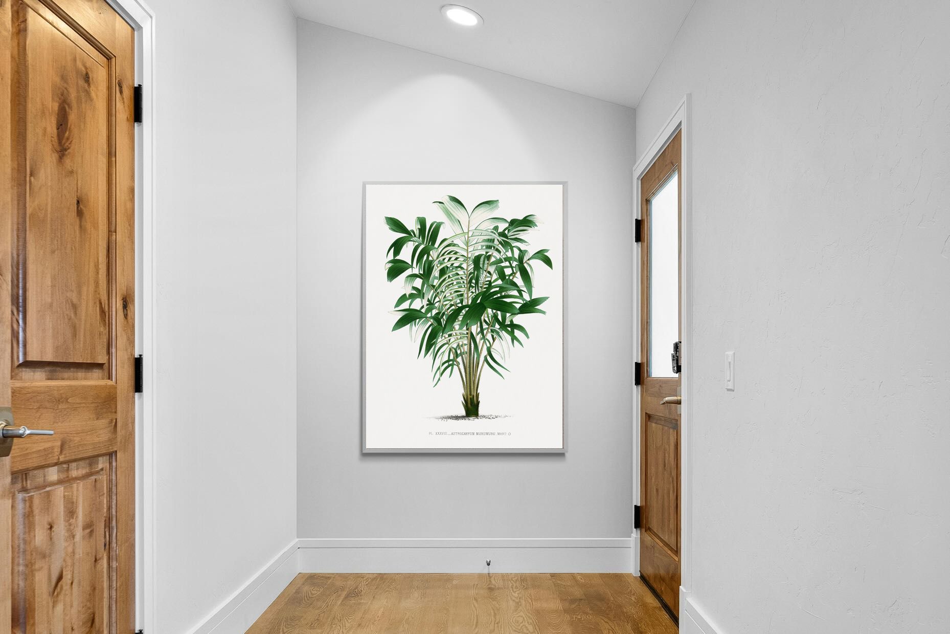 Pixalot Astrocaryum Murumuru Palm Tree Illustration