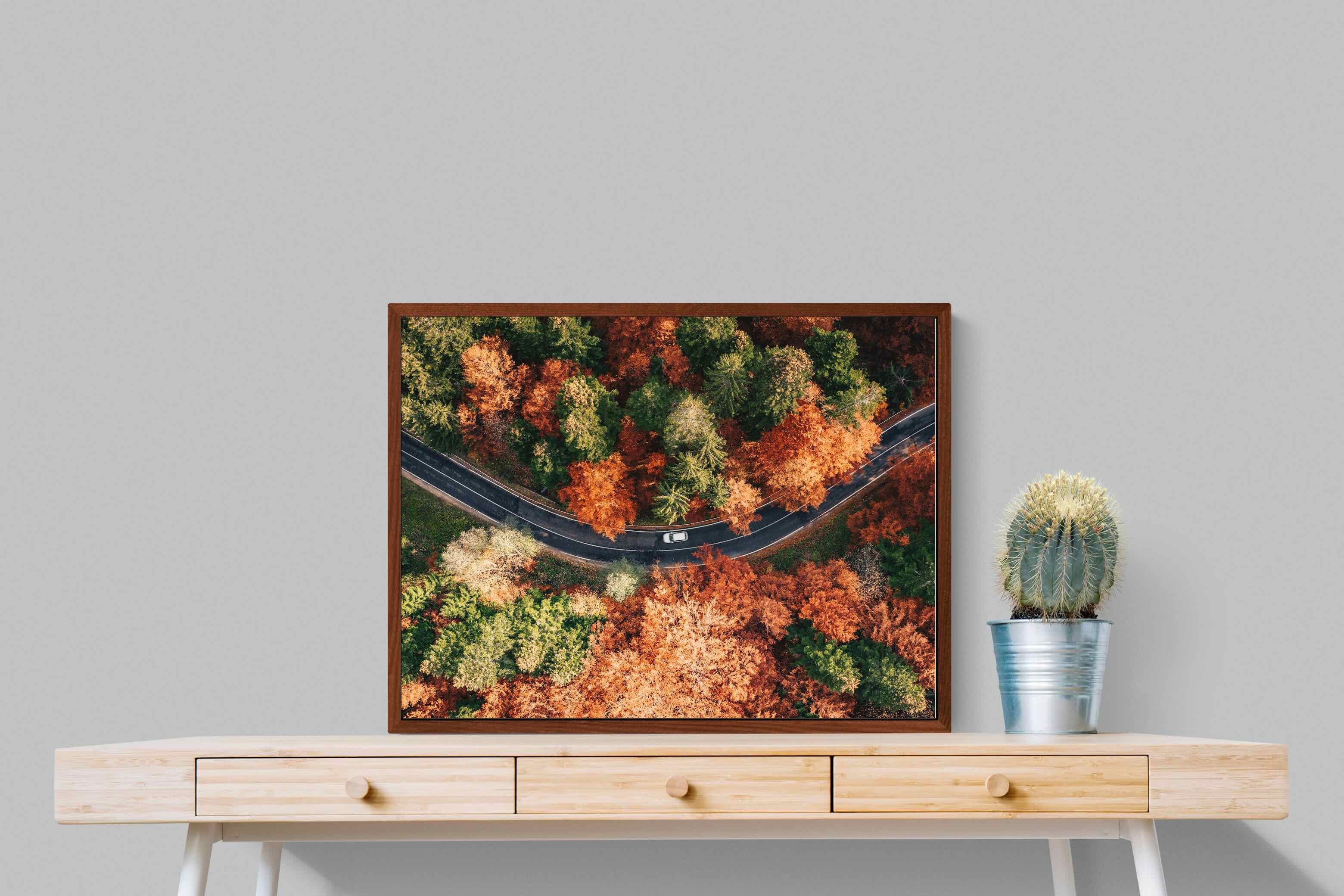 Pixalot ® Autumn Drive