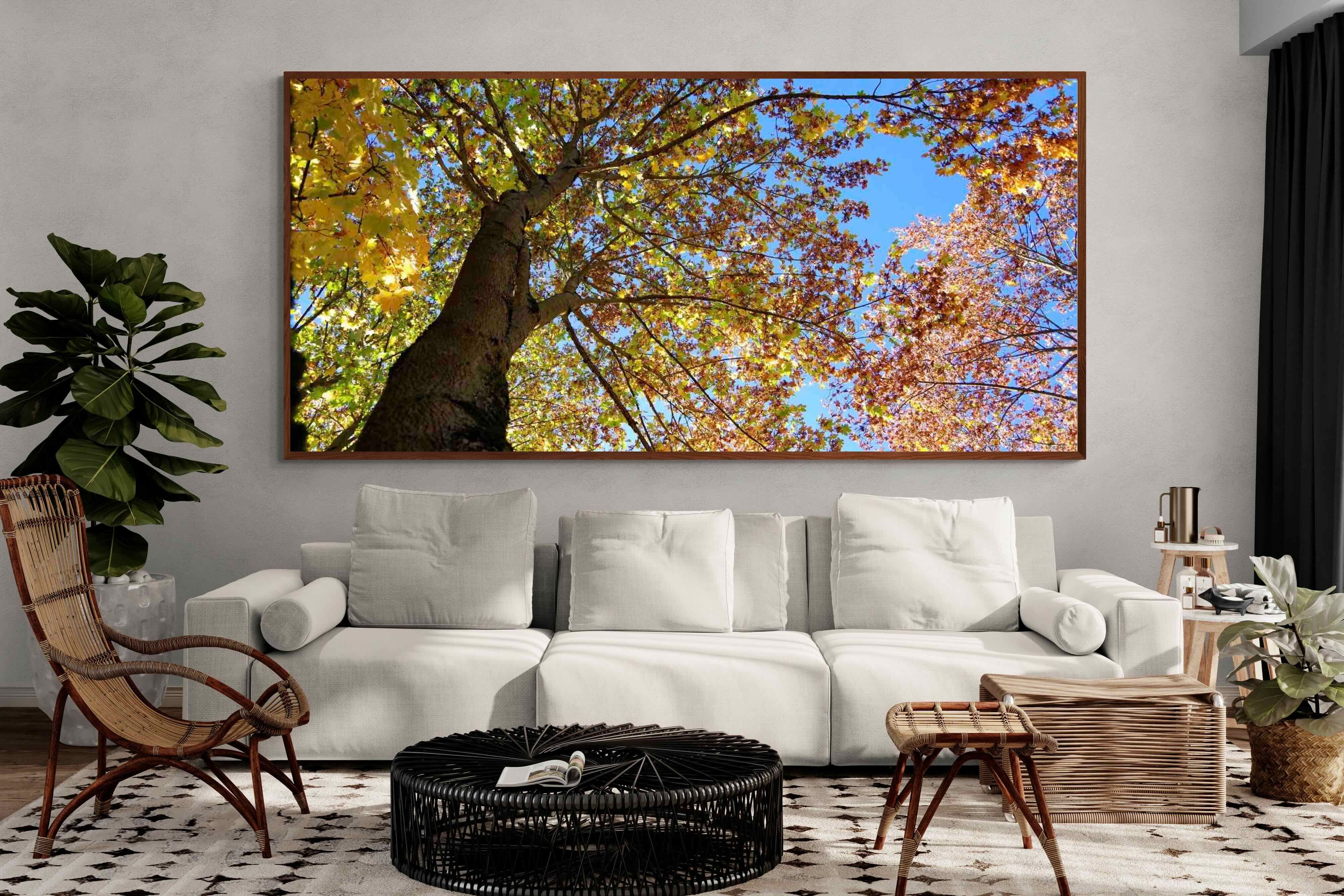 Pixalot ® Autumn Tree Leaves
