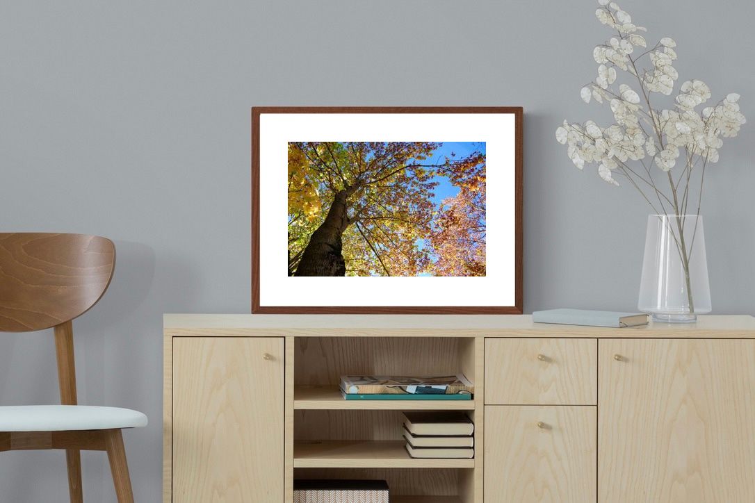 Pixalot ® Autumn Tree Leaves