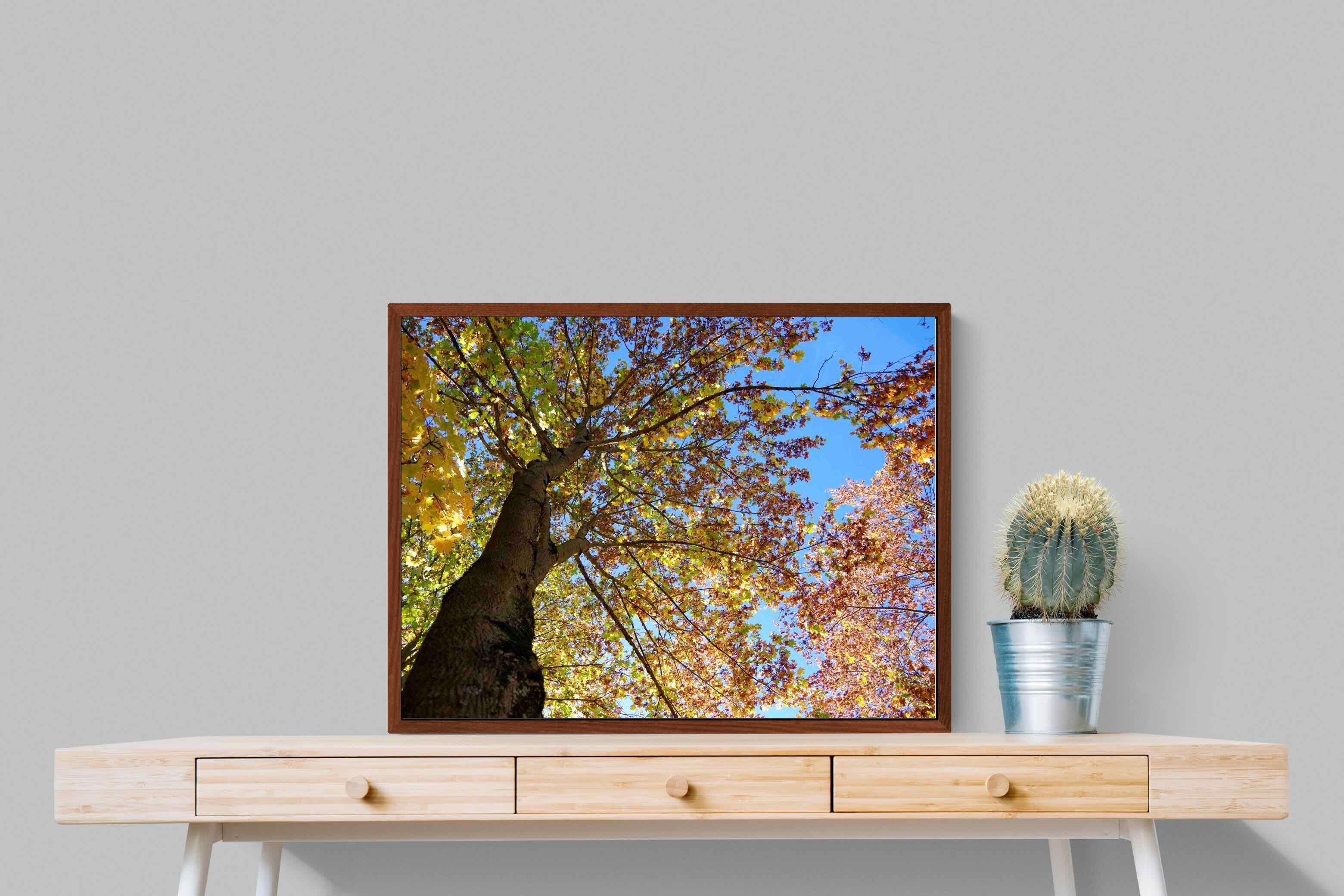 Pixalot ® Autumn Tree Leaves