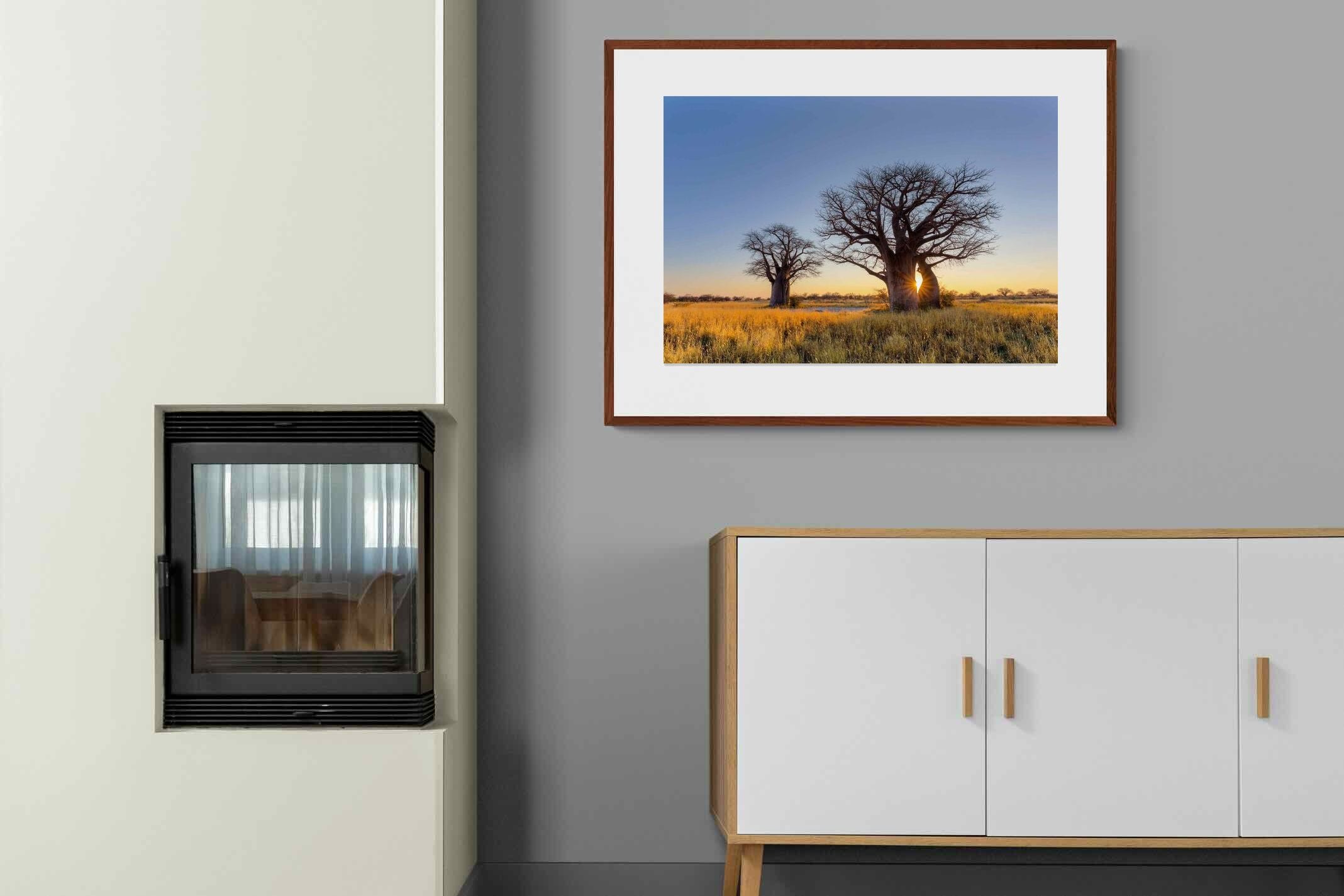 Pixalot ® Baobab