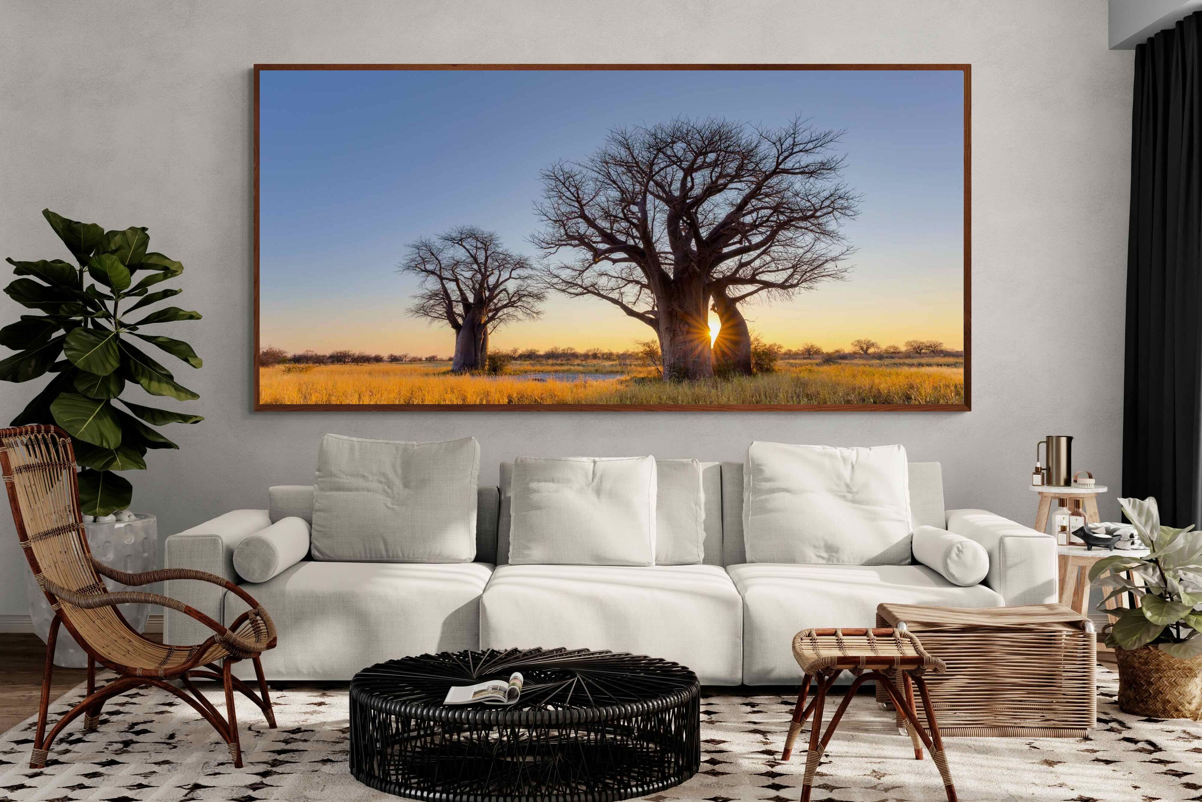 Pixalot ® Baobab