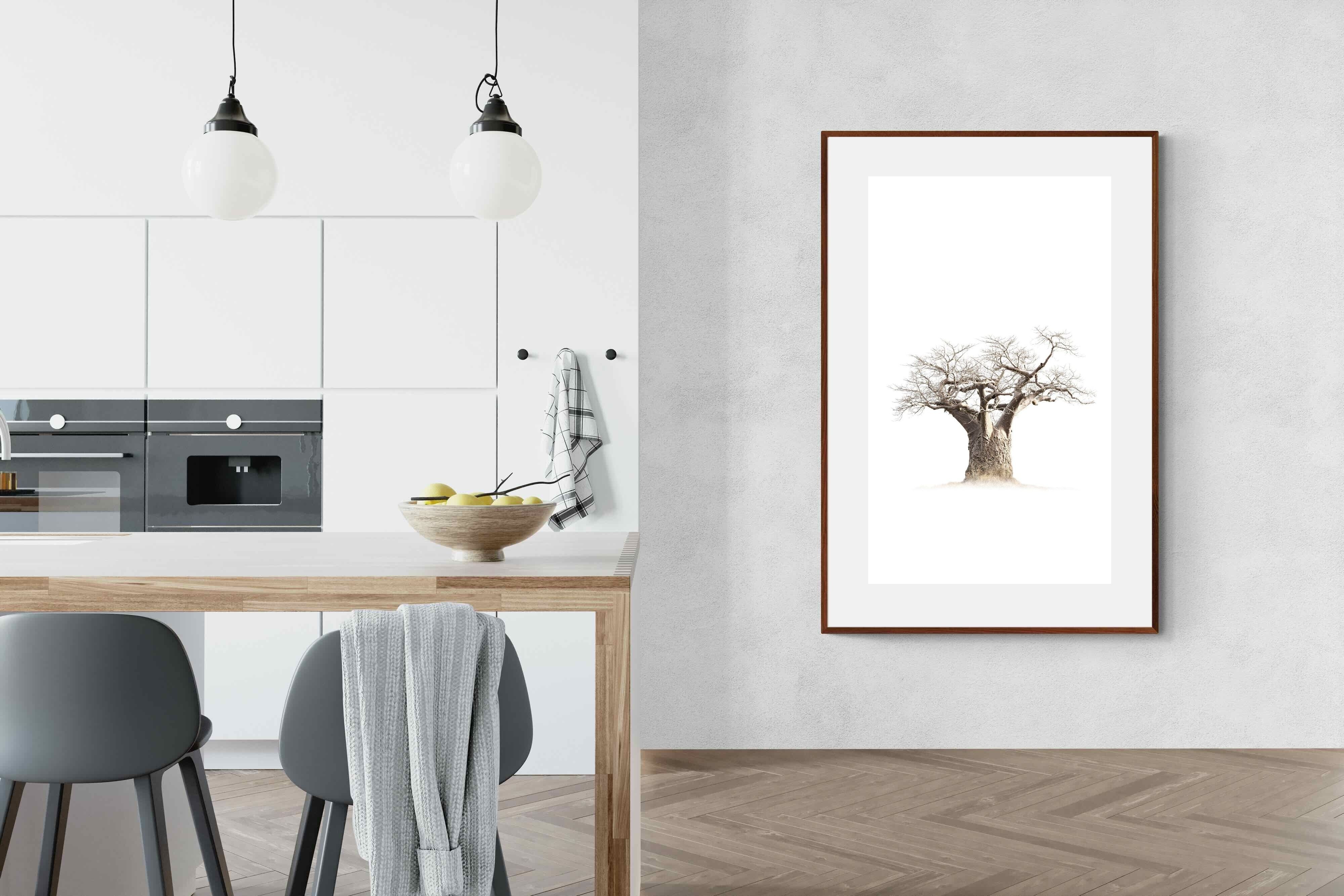 Pixalot ® Baobab Whiteout