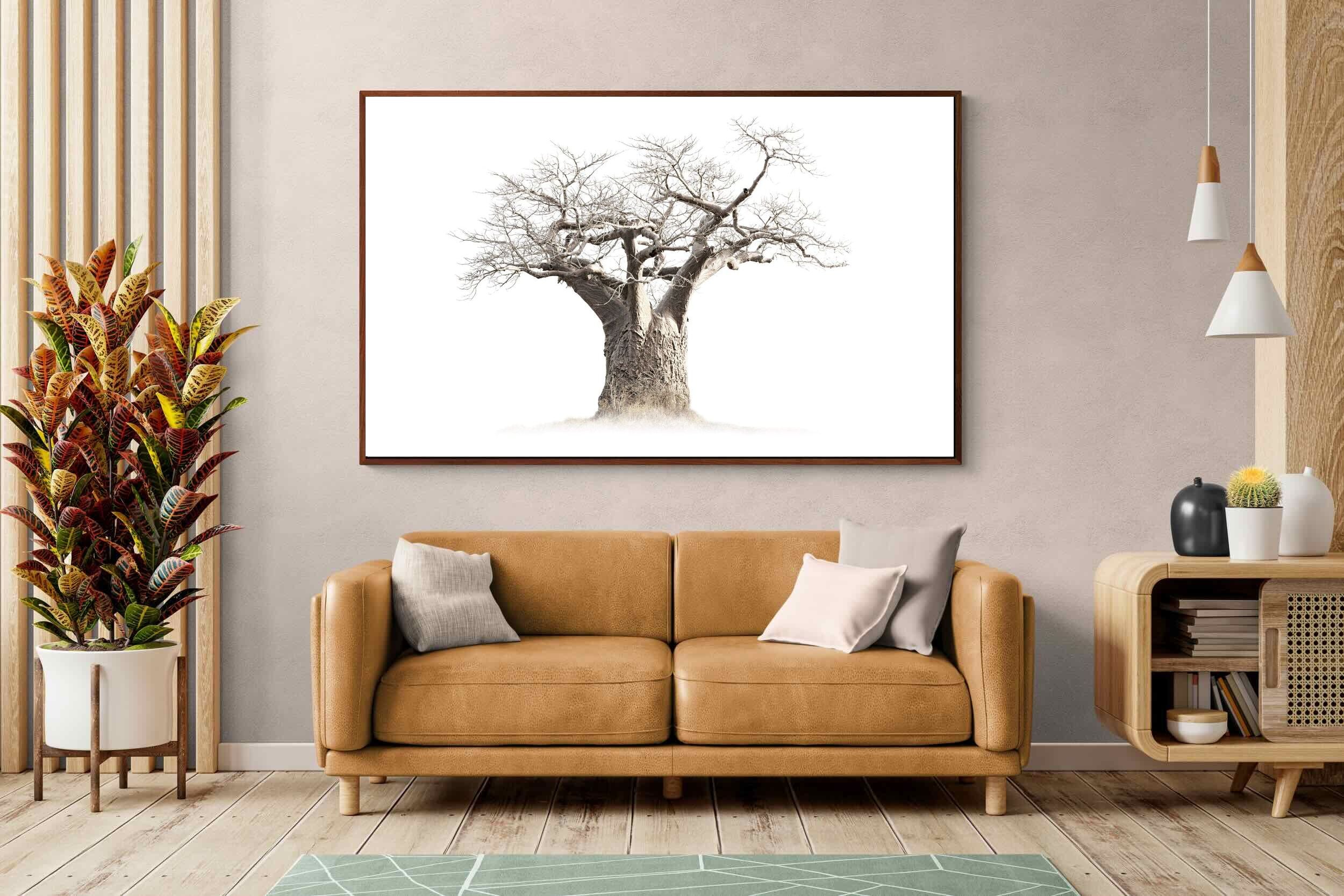 Pixalot Baobab Whiteout