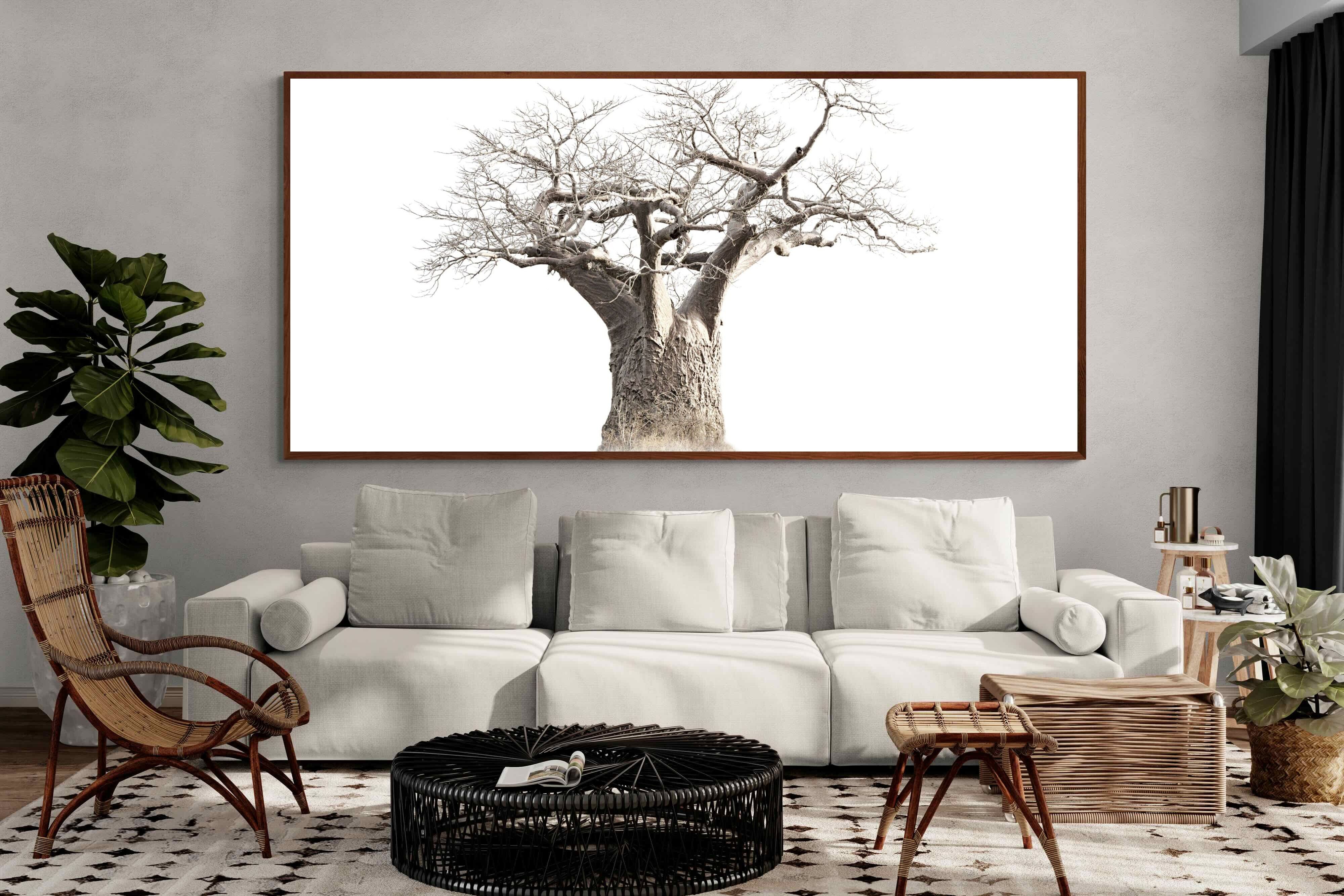 Pixalot Baobab Whiteout