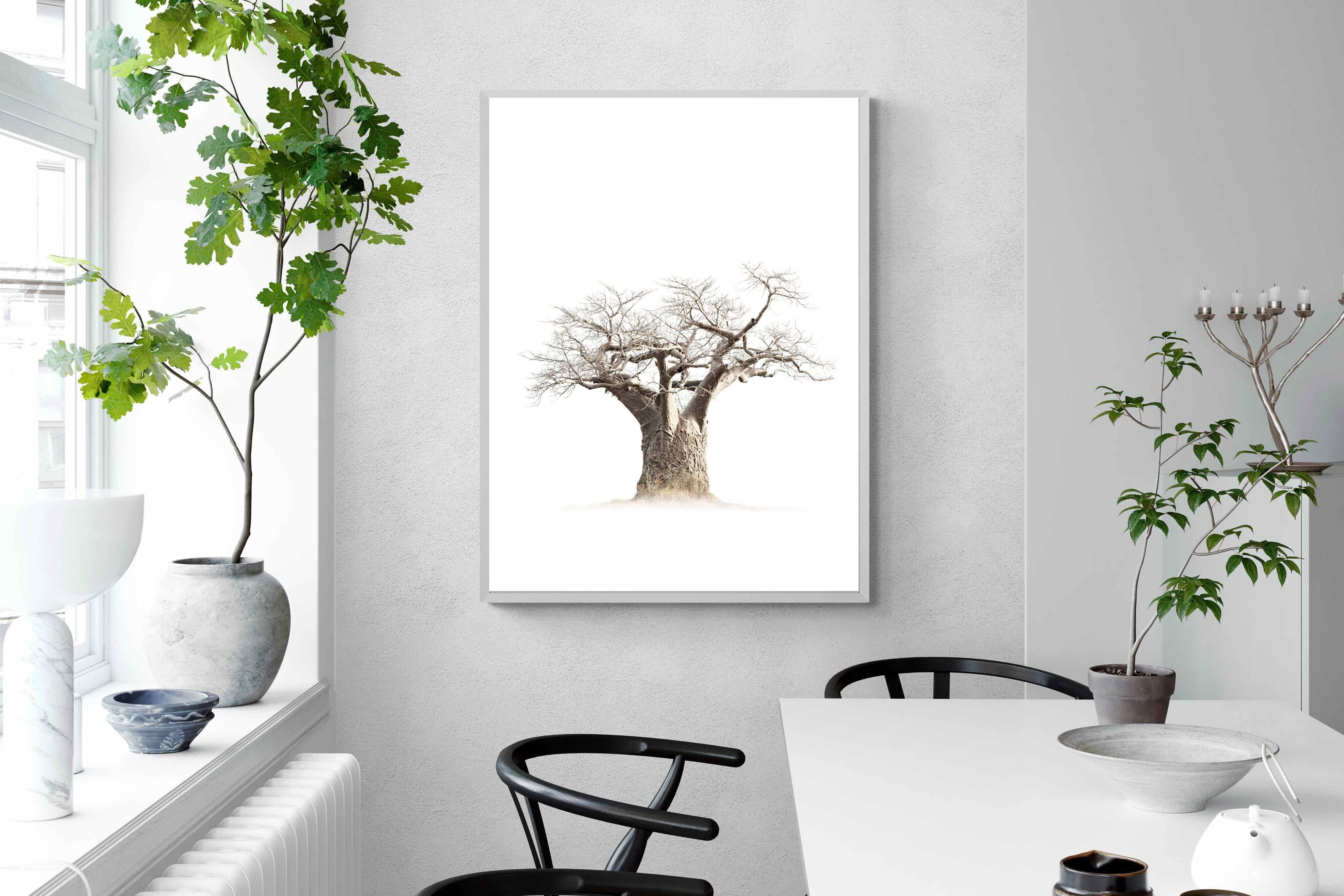 Pixalot ® Baobab Whiteout