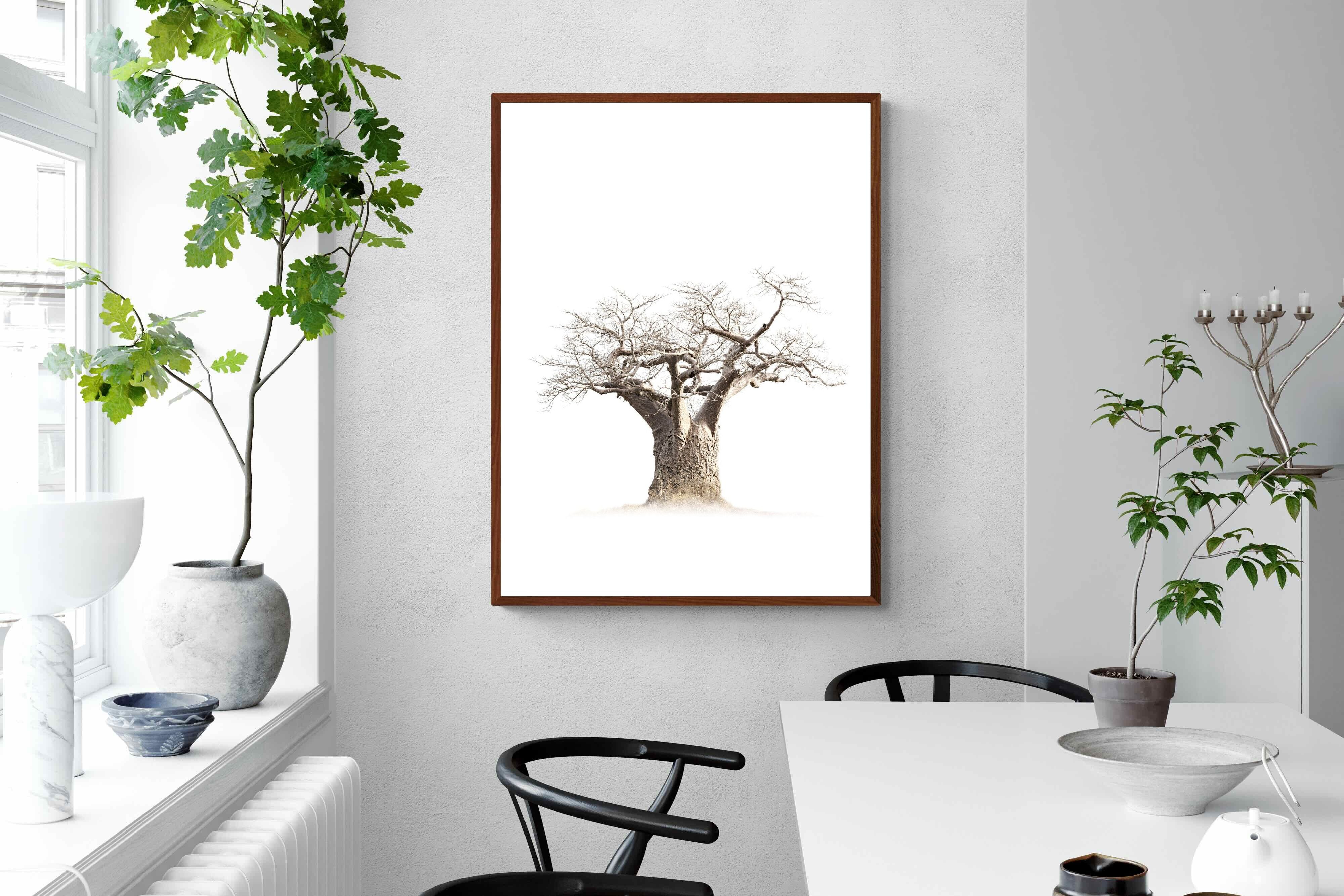 Pixalot ® Baobab Whiteout