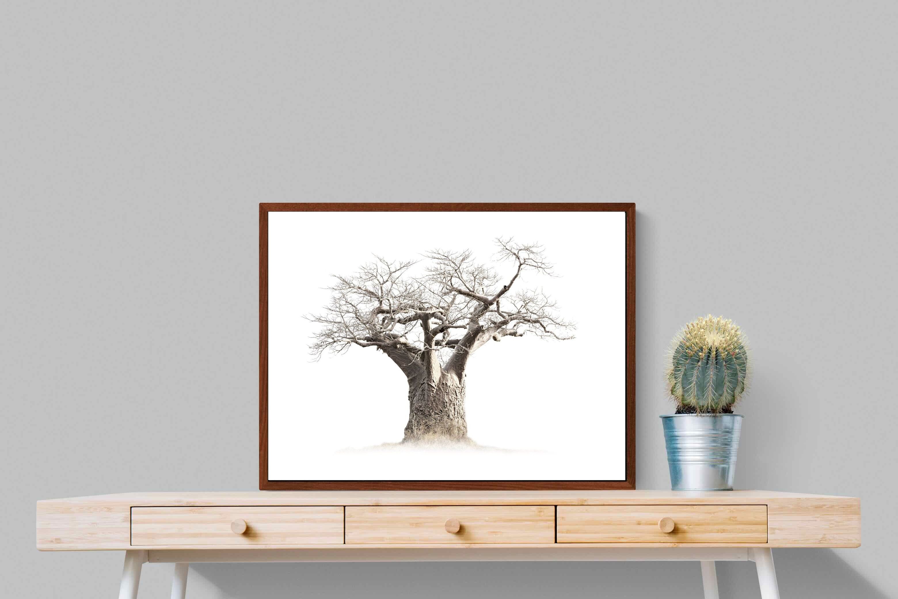 Pixalot Baobab Whiteout