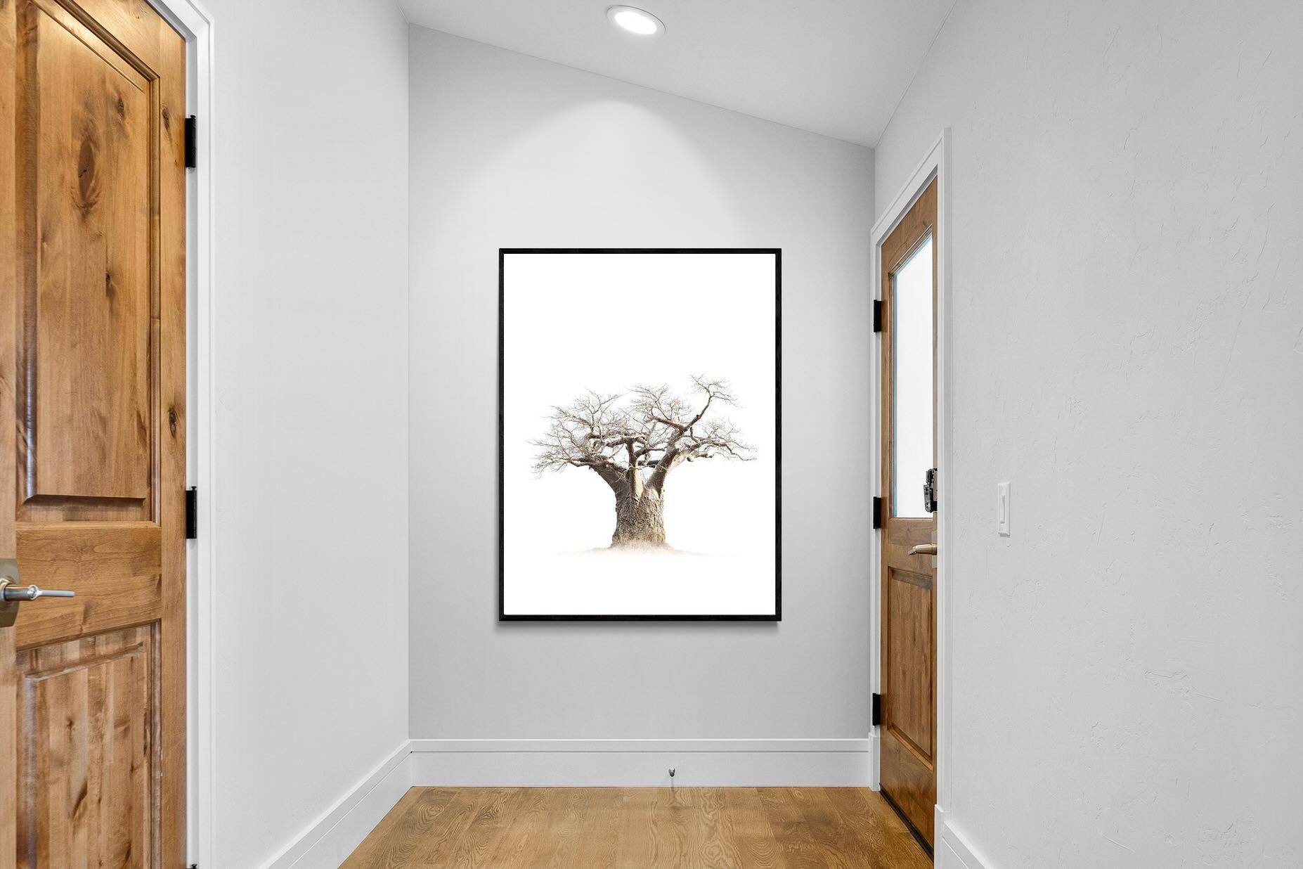 Pixalot ® Baobab Whiteout