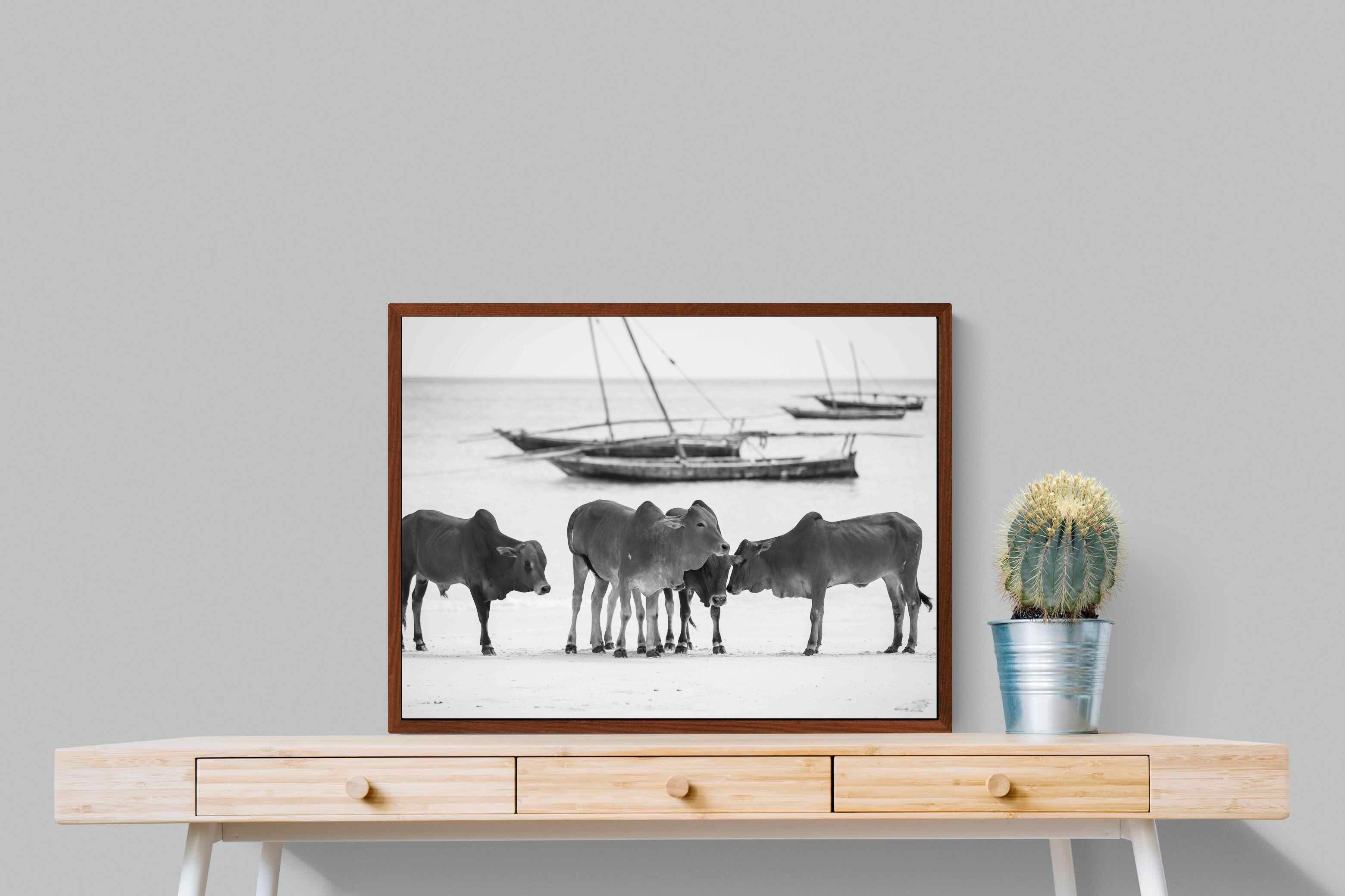 Pixalot ® Beach Cattle