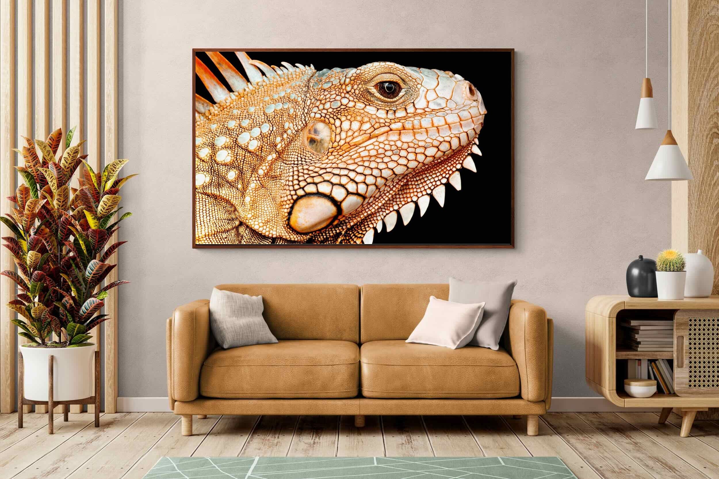Pixalot ® Bearded Dragon