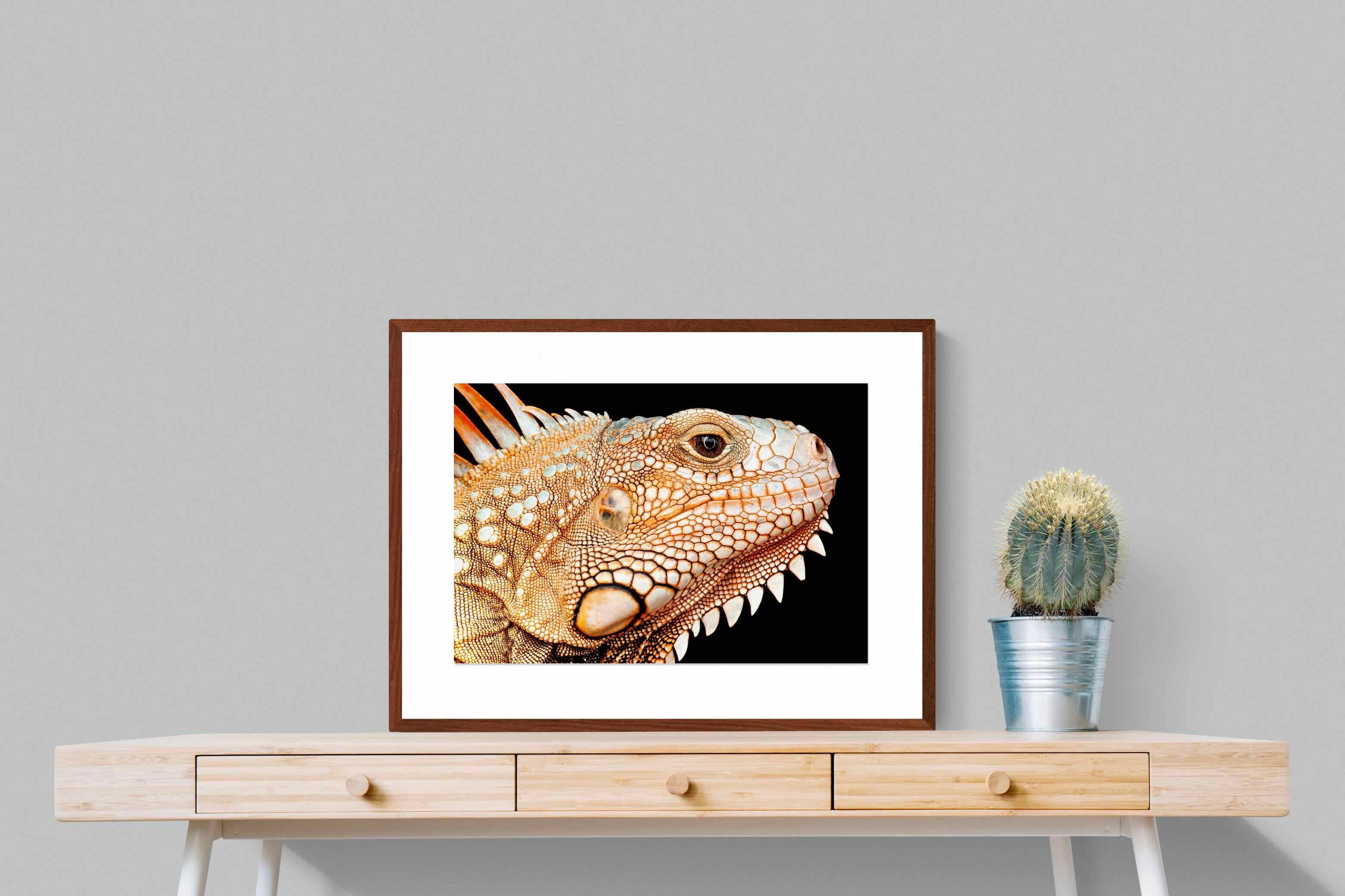 Pixalot ® Bearded Dragon