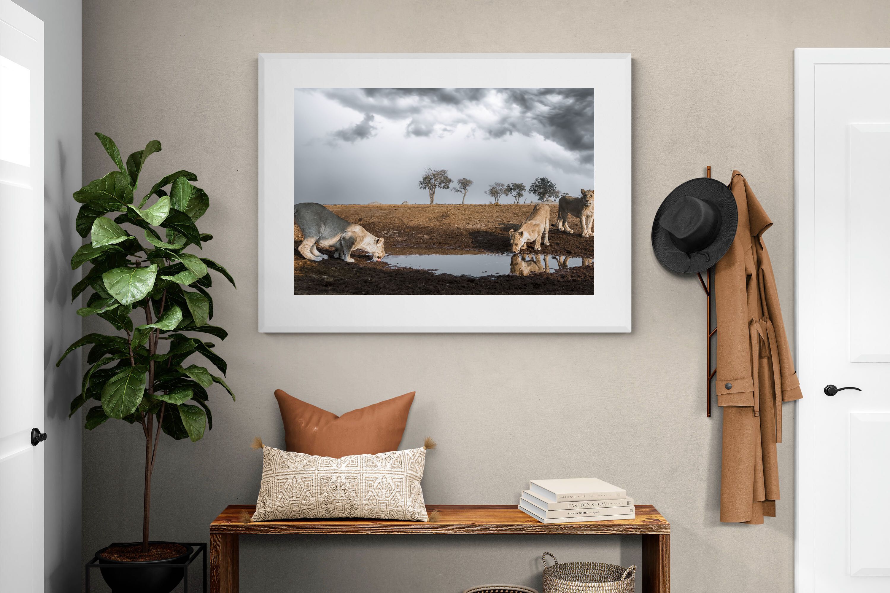 Pixalot Before the Storm