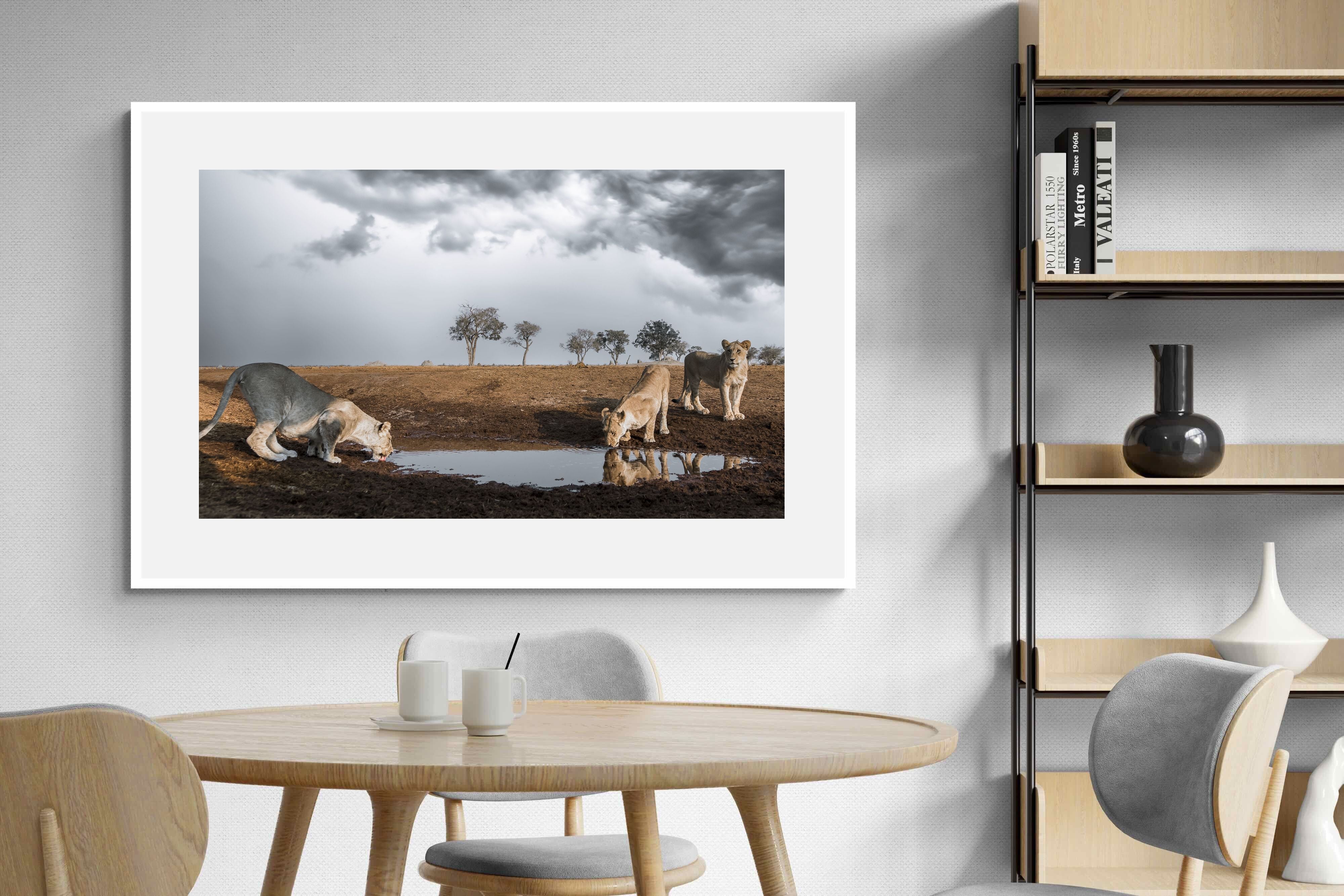 Pixalot Before the Storm