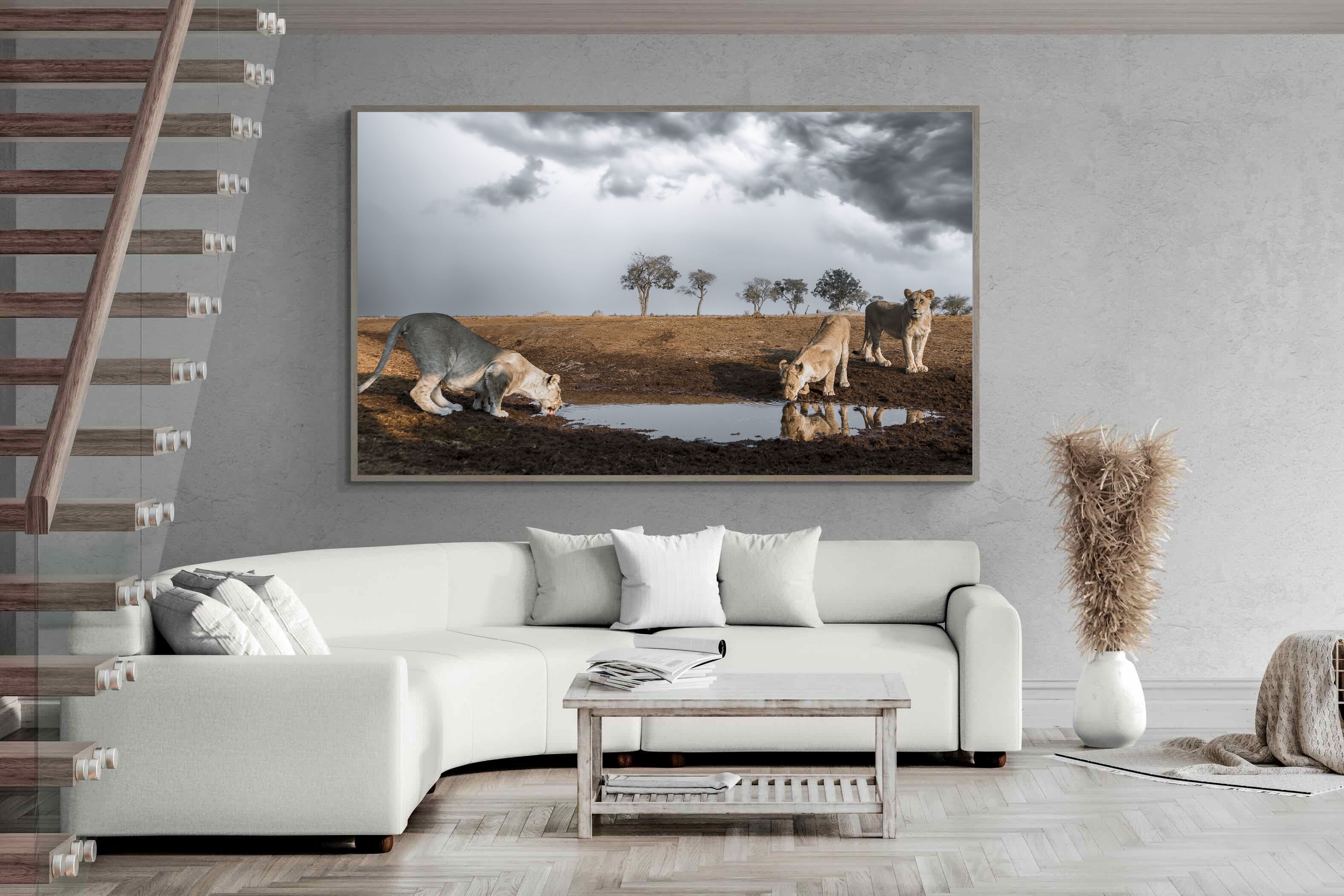 Pixalot Before the Storm