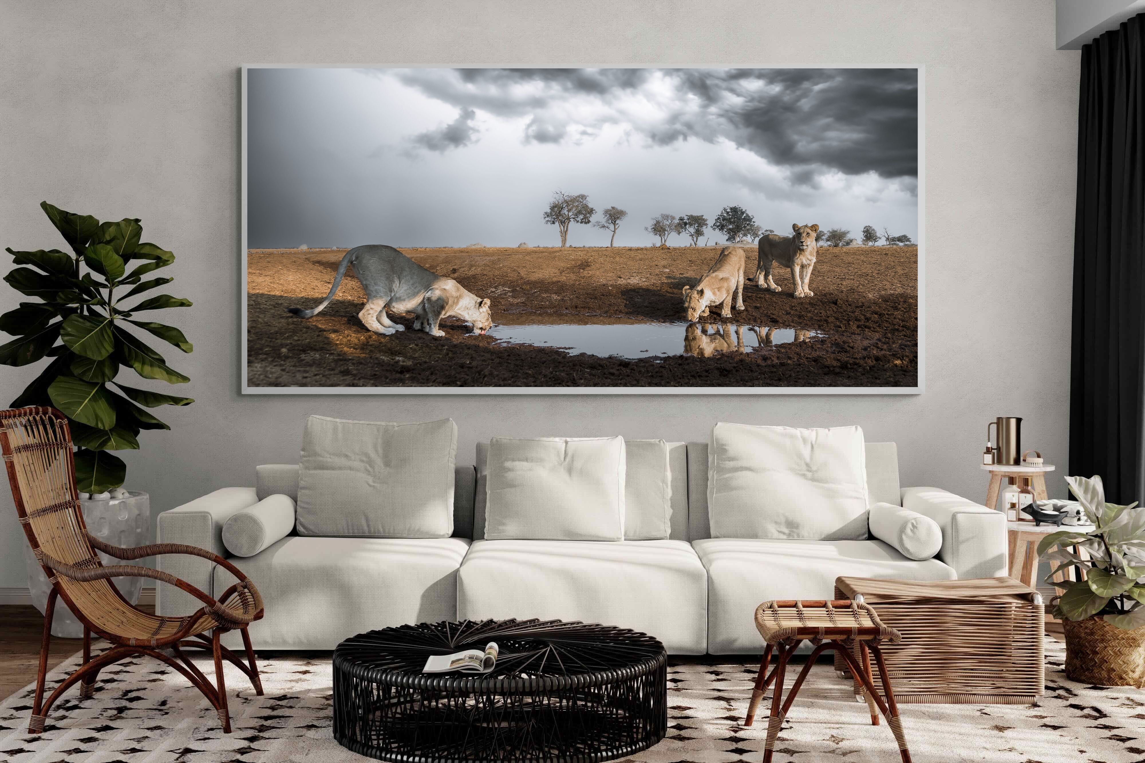 Pixalot Before the Storm