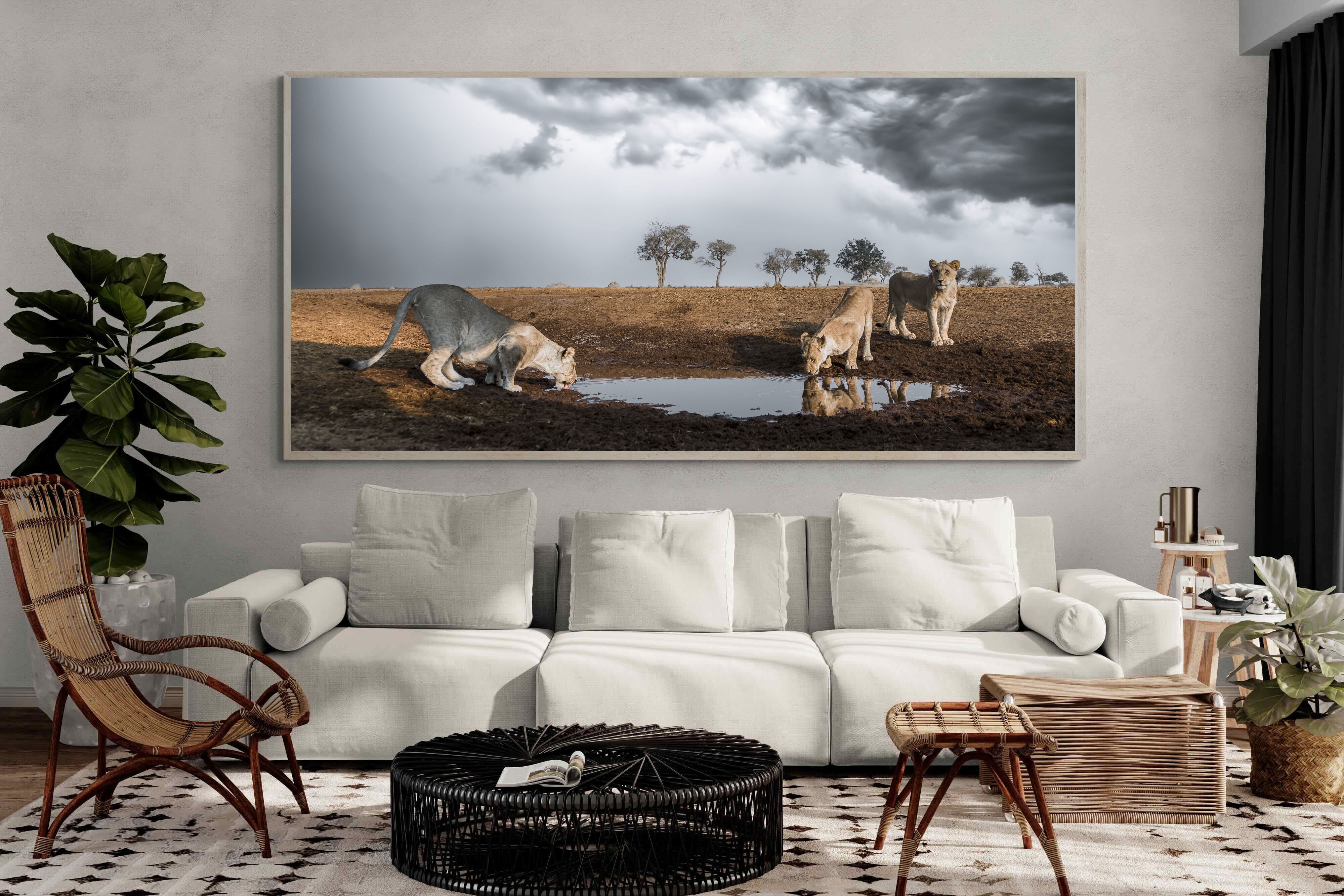 Pixalot Before the Storm