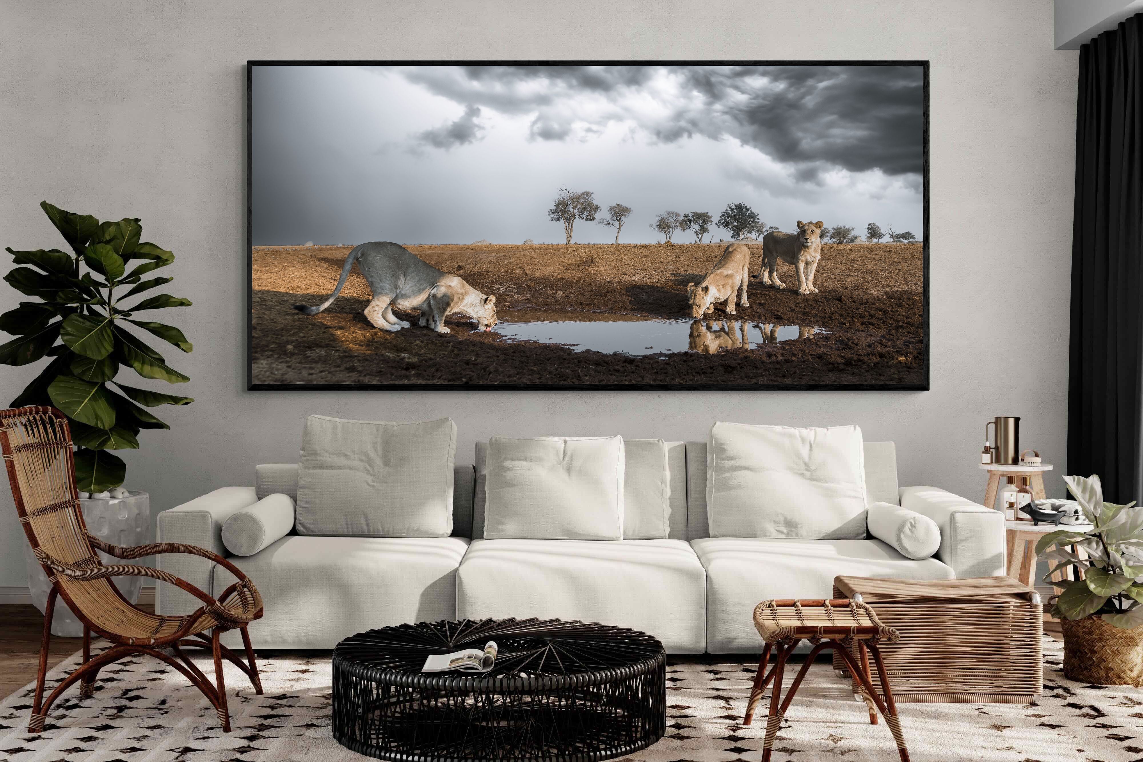 Pixalot Before the Storm