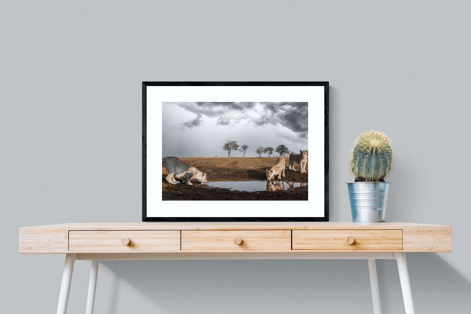 Pixalot Before the Storm