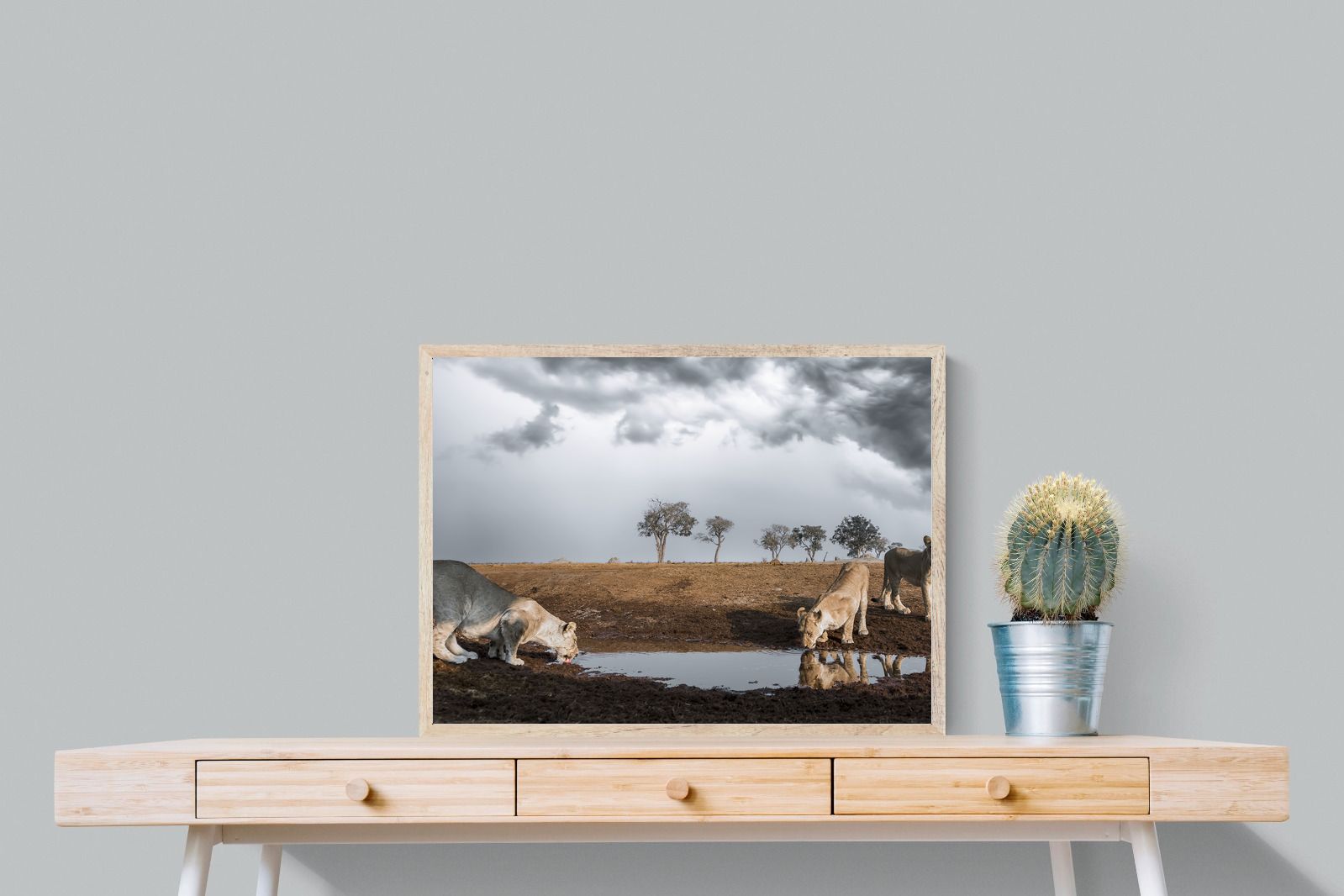 Pixalot Before the Storm