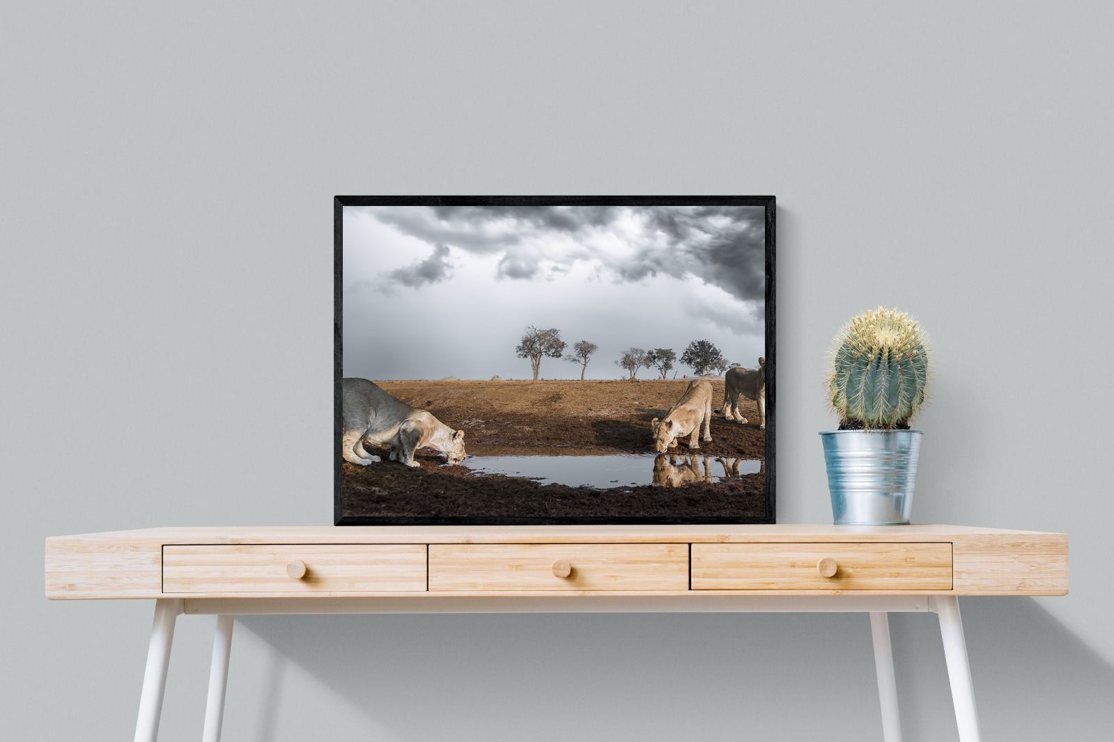 Pixalot Before the Storm