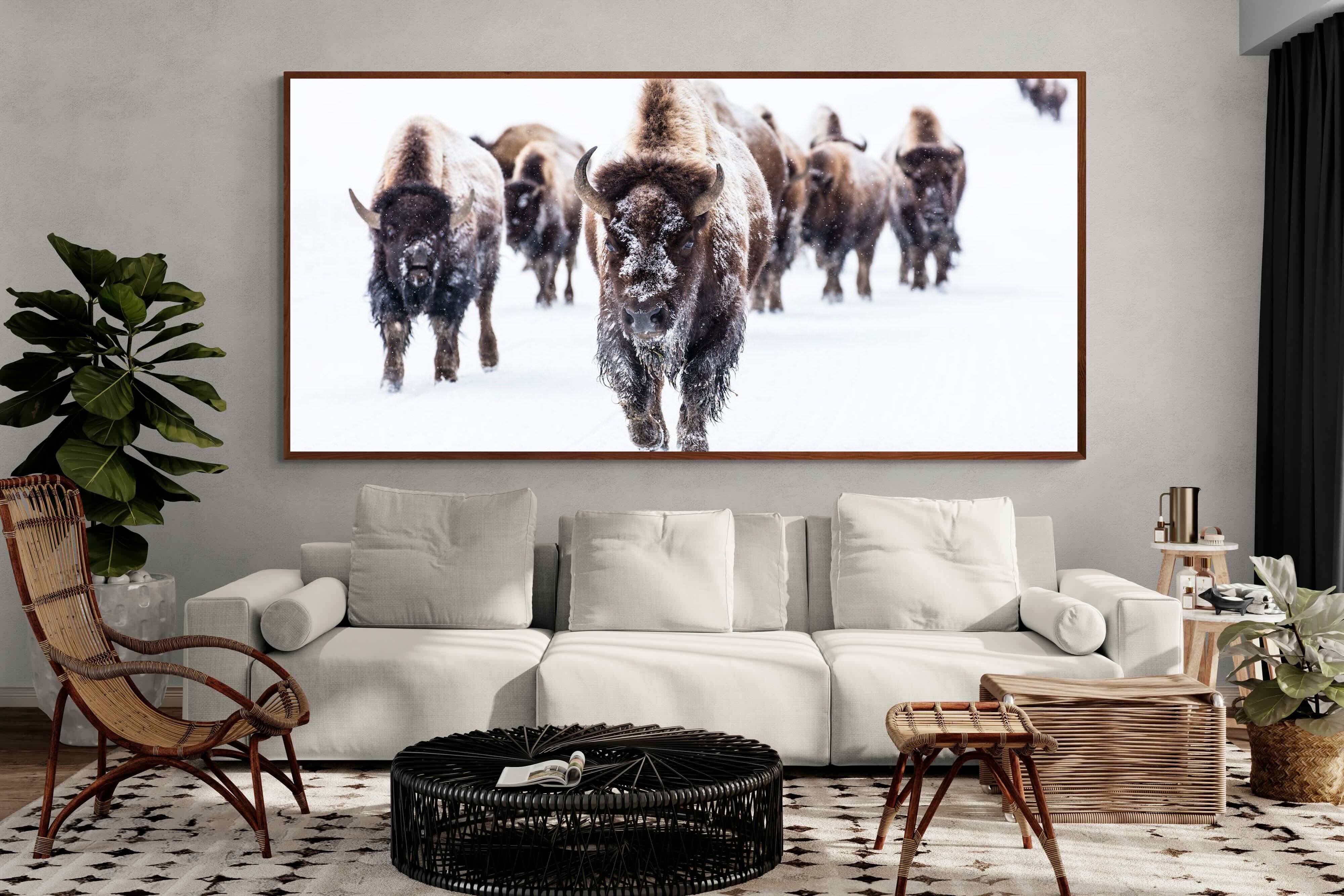 Pixalot ® Bison Herd