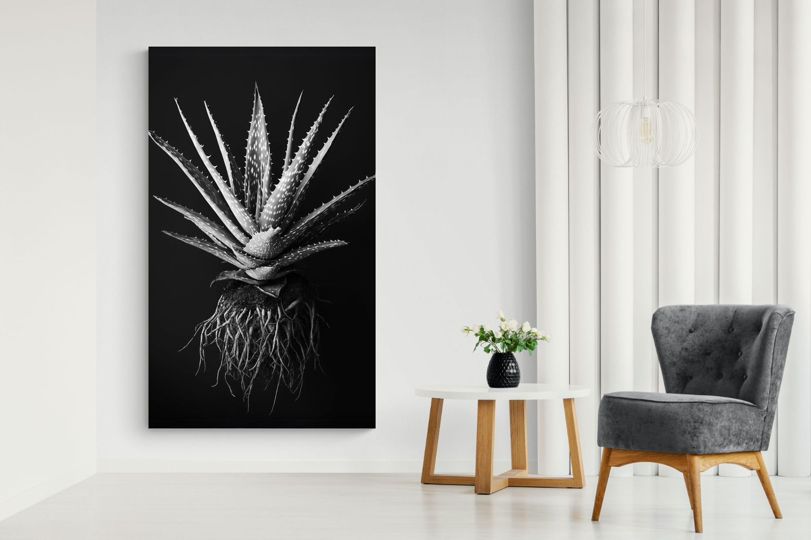 Pixalot Black Aloe