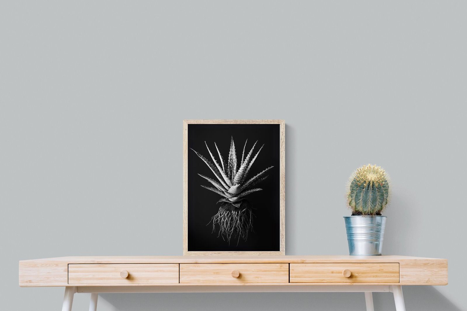 Pixalot Black Aloe