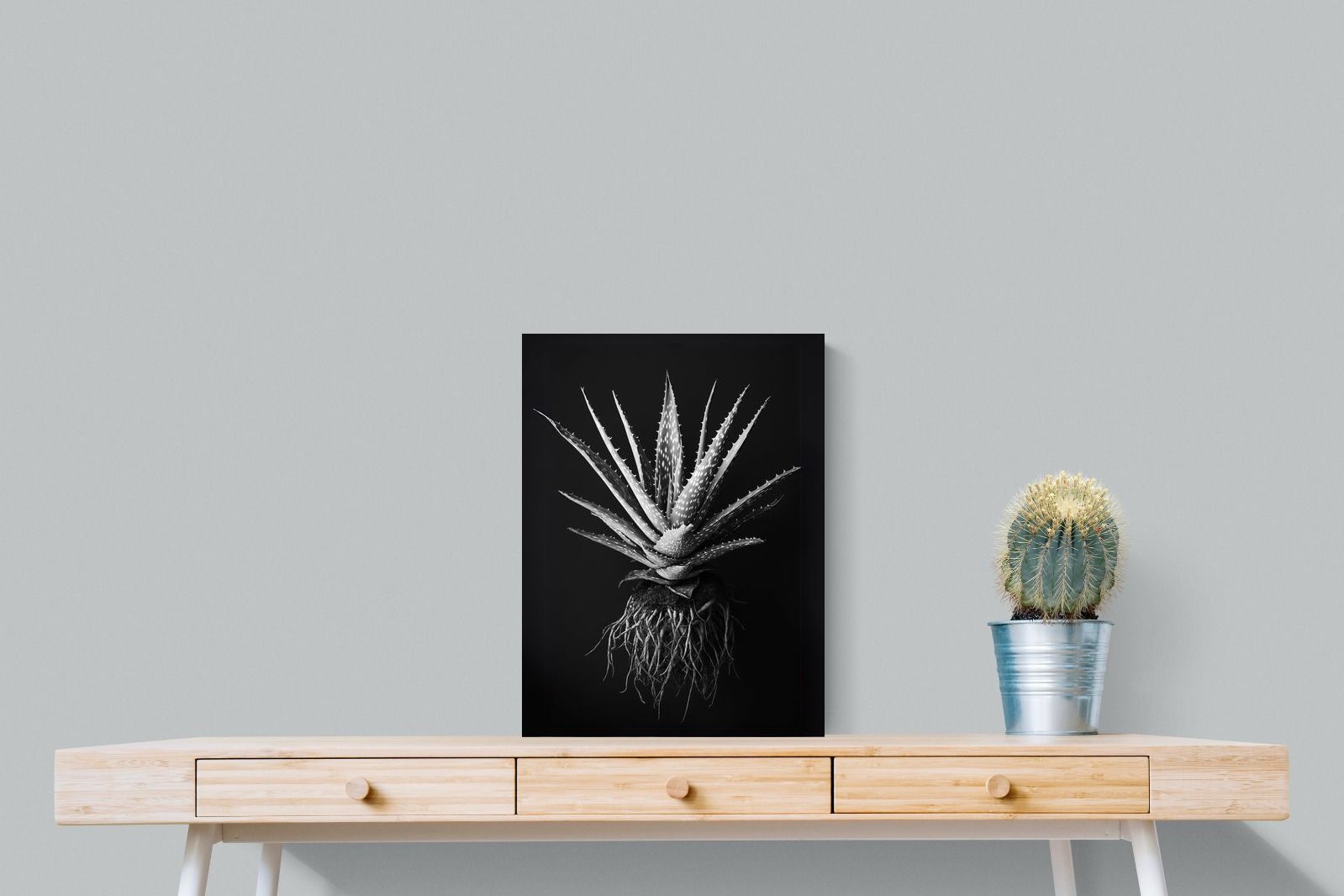 Pixalot Black Aloe