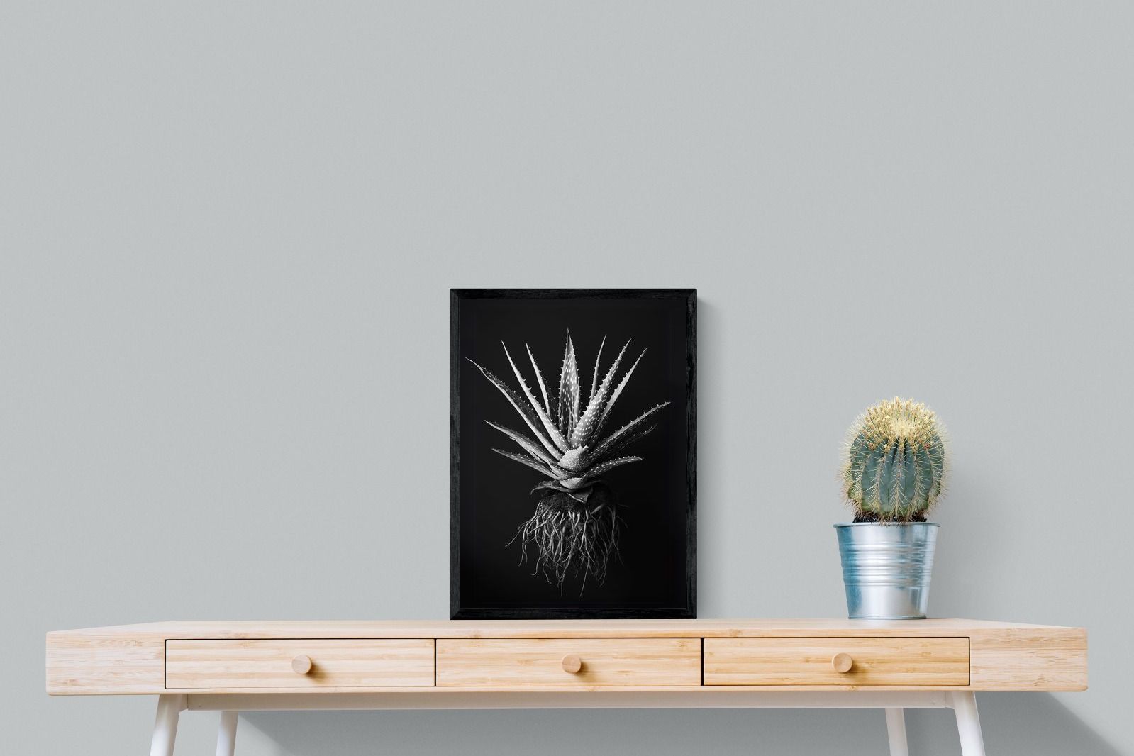 Pixalot Black Aloe