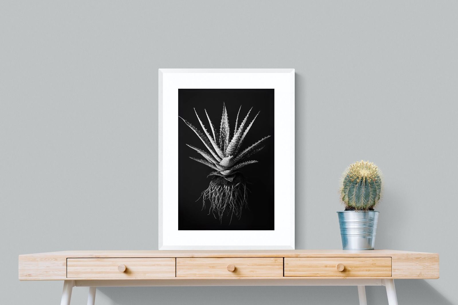 Pixalot Black Aloe