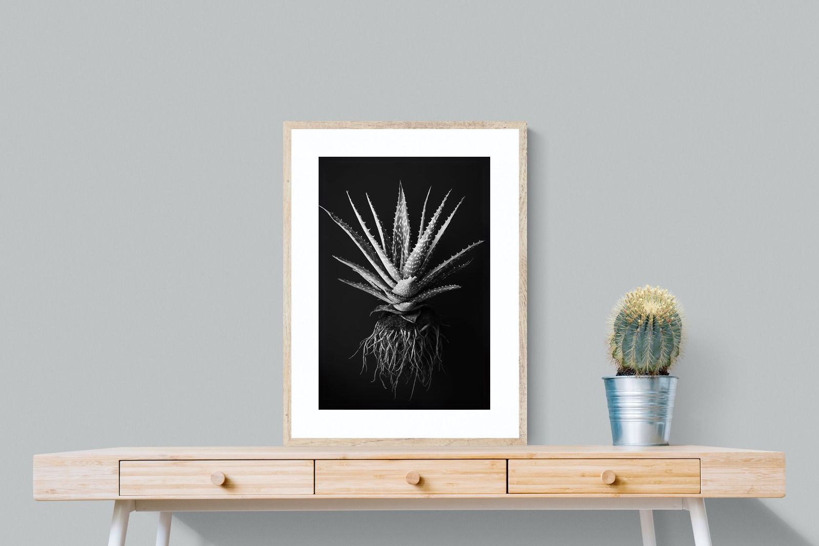 Pixalot Black Aloe